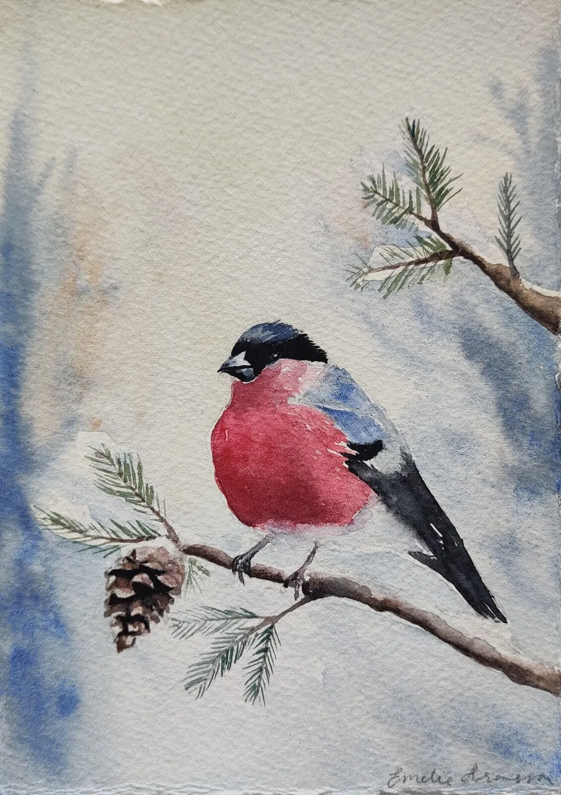 Akvarell DOMHERREN av Emelie Aronsson