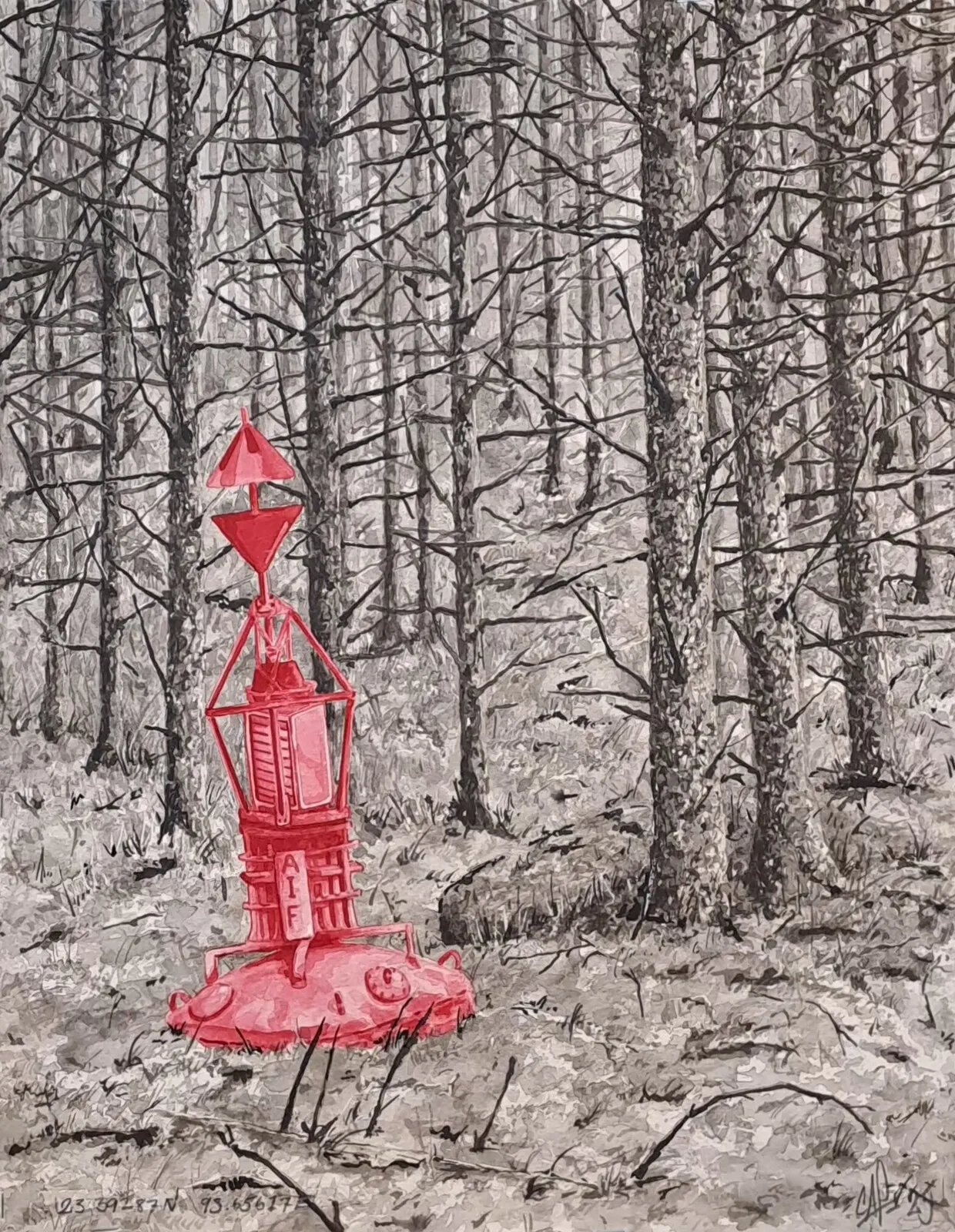 23.39287 N 93.65617 E av Casper Johansson