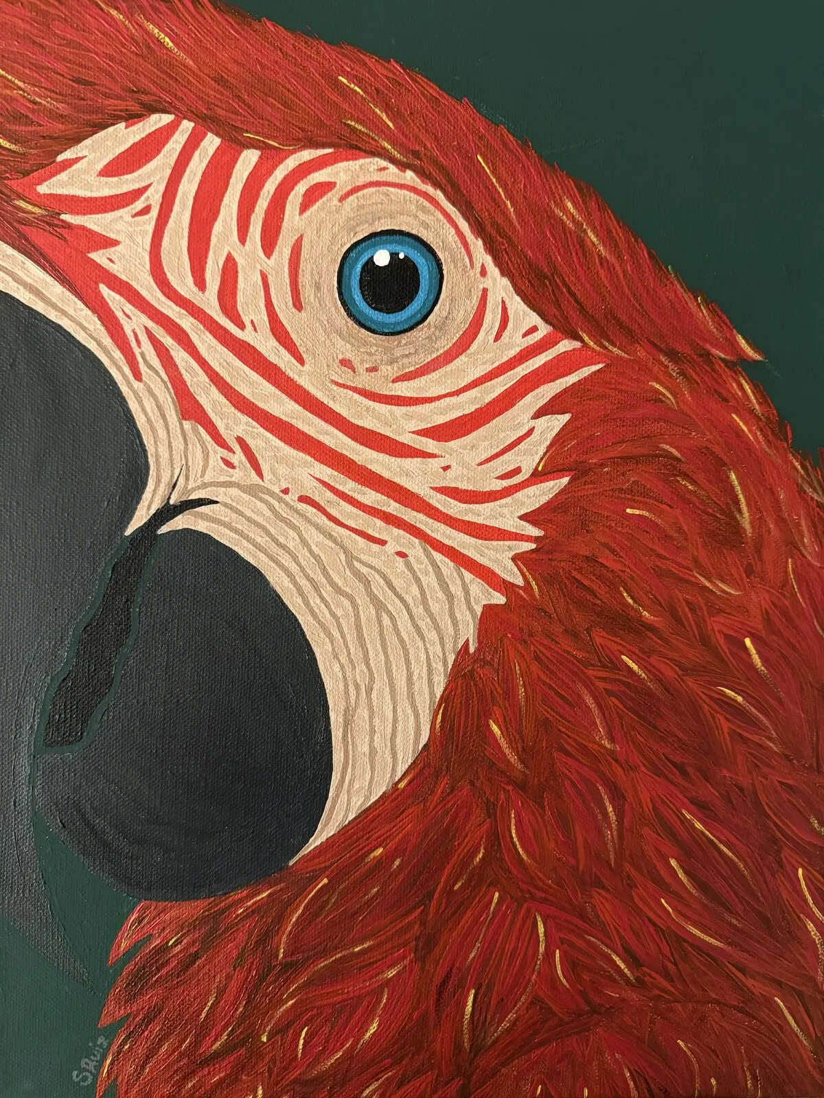 Akrylmålning Guacamaya av Sheryl Ruiz