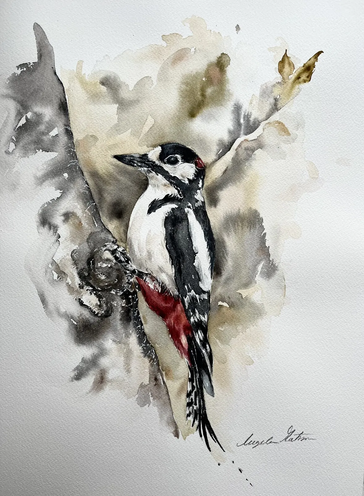 Akvarell Hackspett i en björk av Ingela Matsson