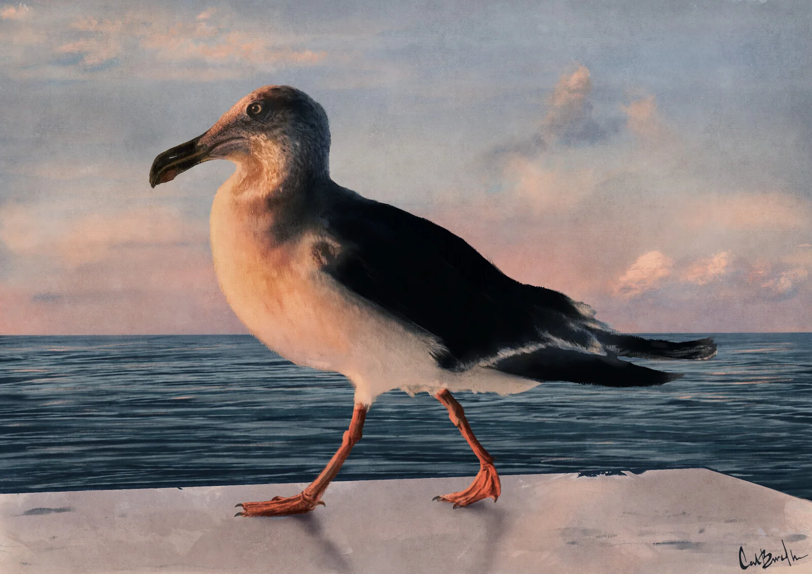 The strutter av Carl Birath