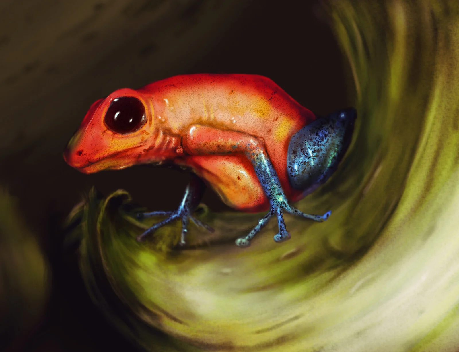 Pilgroda av Carl Birath