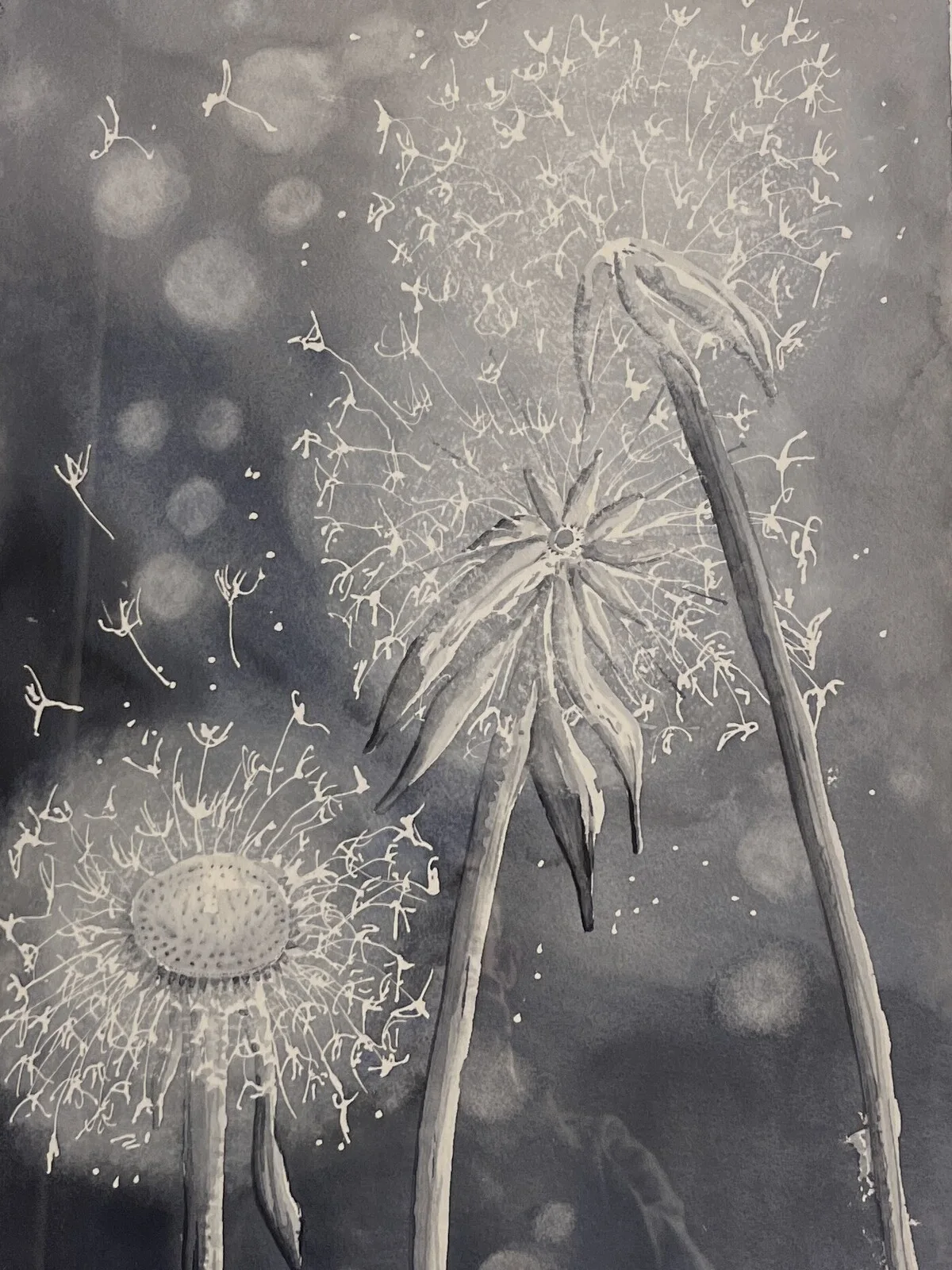 Akvarell Maskrosorna av Rune Gabrielsson