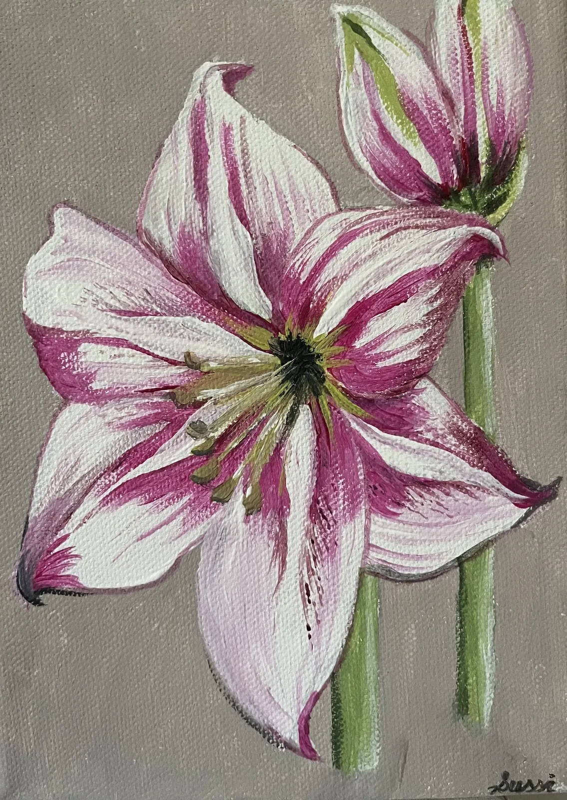 Akrylmålning Amaryllis av Sussi Eriksson