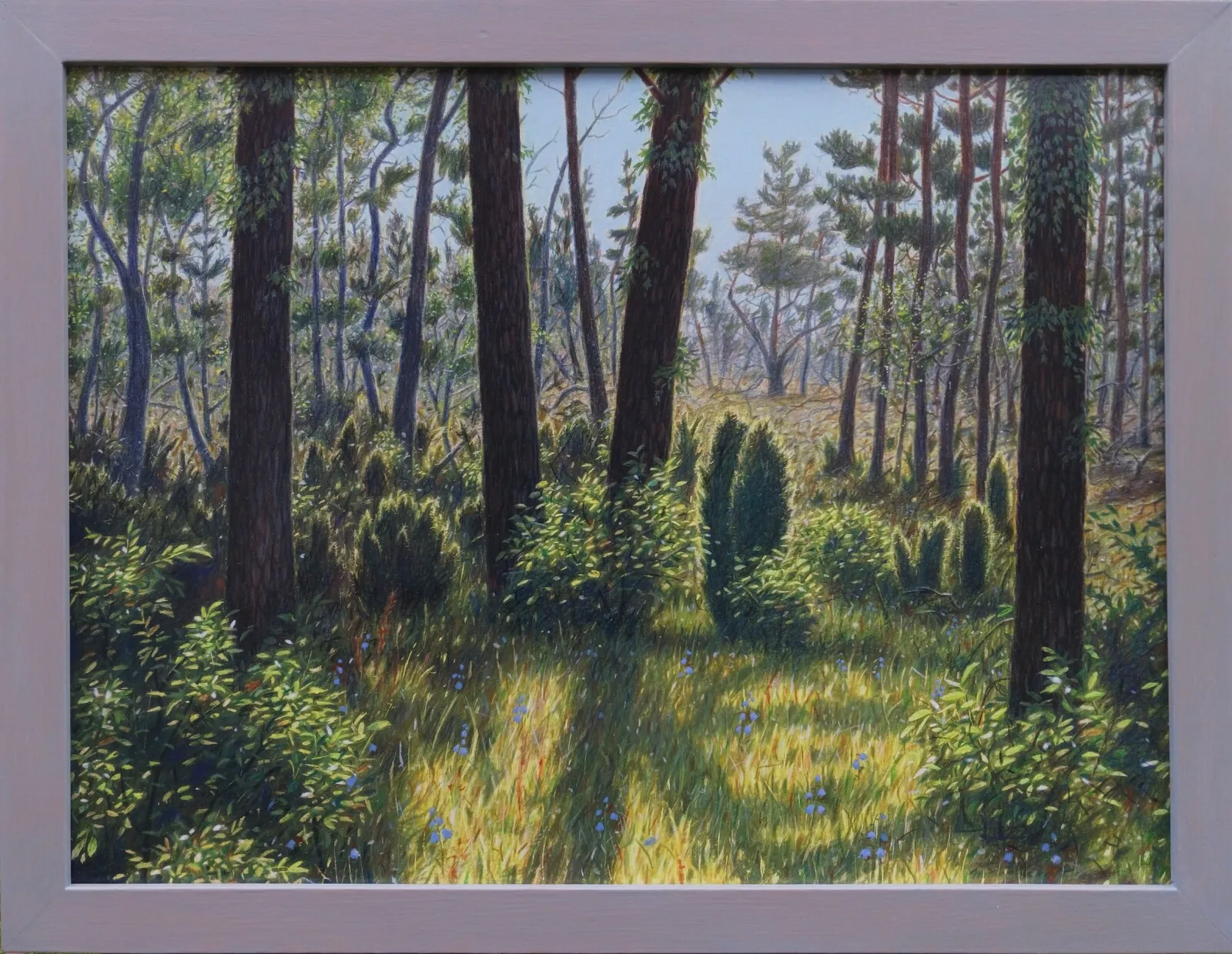 Trollskogen av Martin Möller