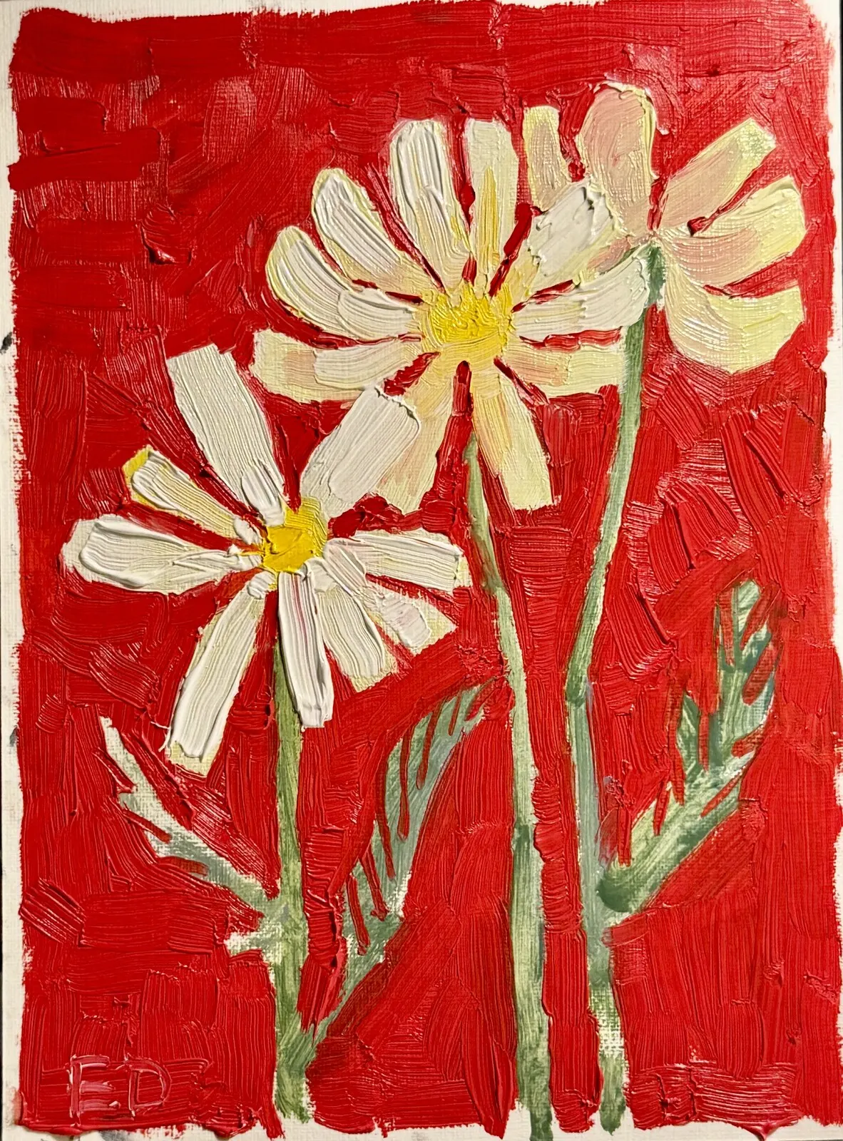 Oljemålning Kamomill av Ekaterina Dutkevich