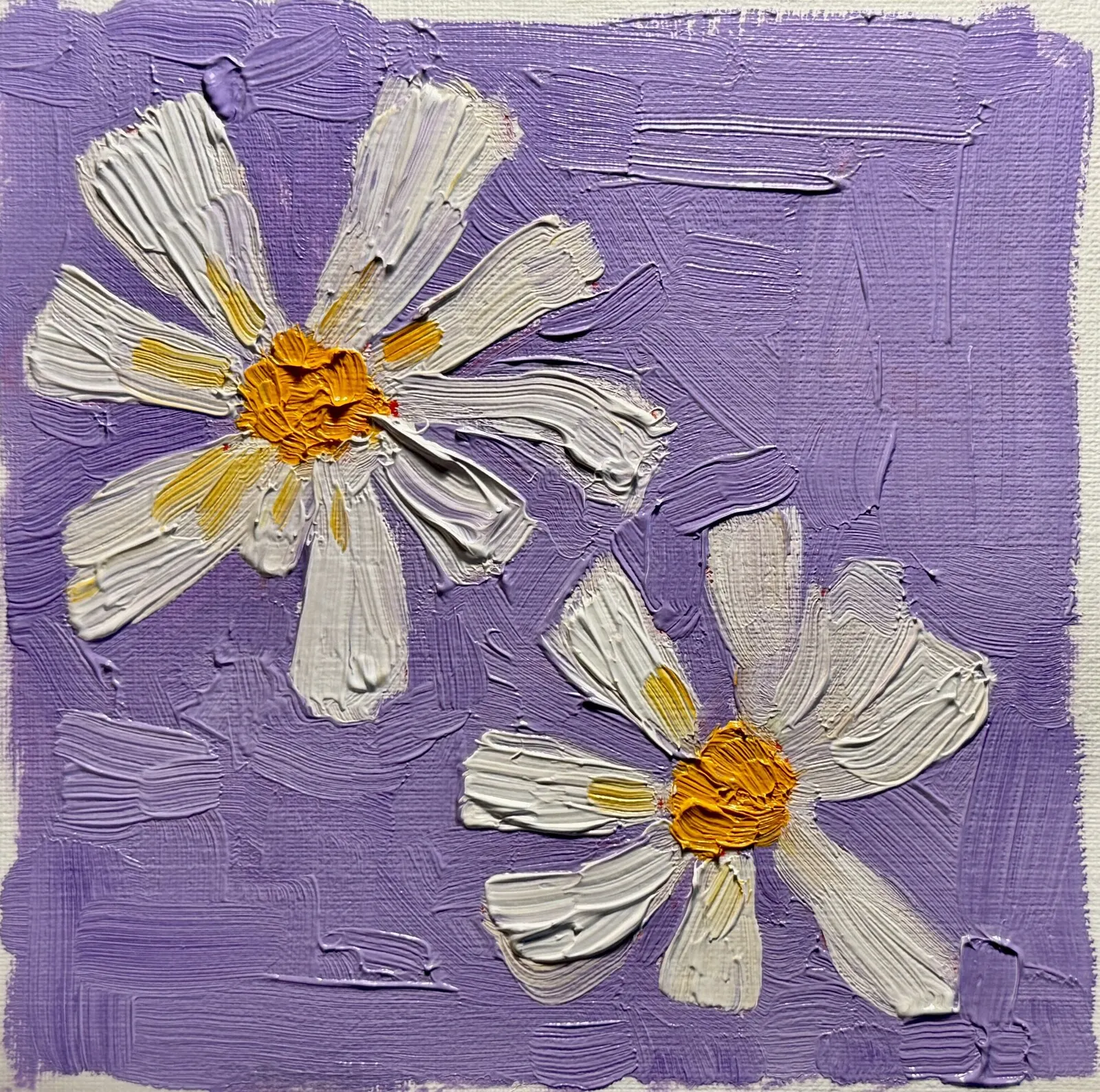 Oljemålning Kamomill av Ekaterina Dutkevich