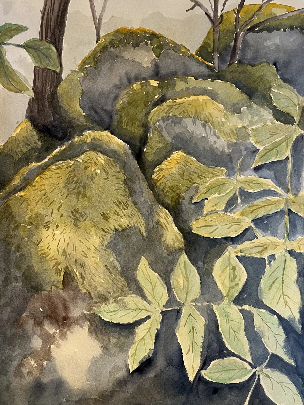 Akvarell Mossig av Charlotte Hansson