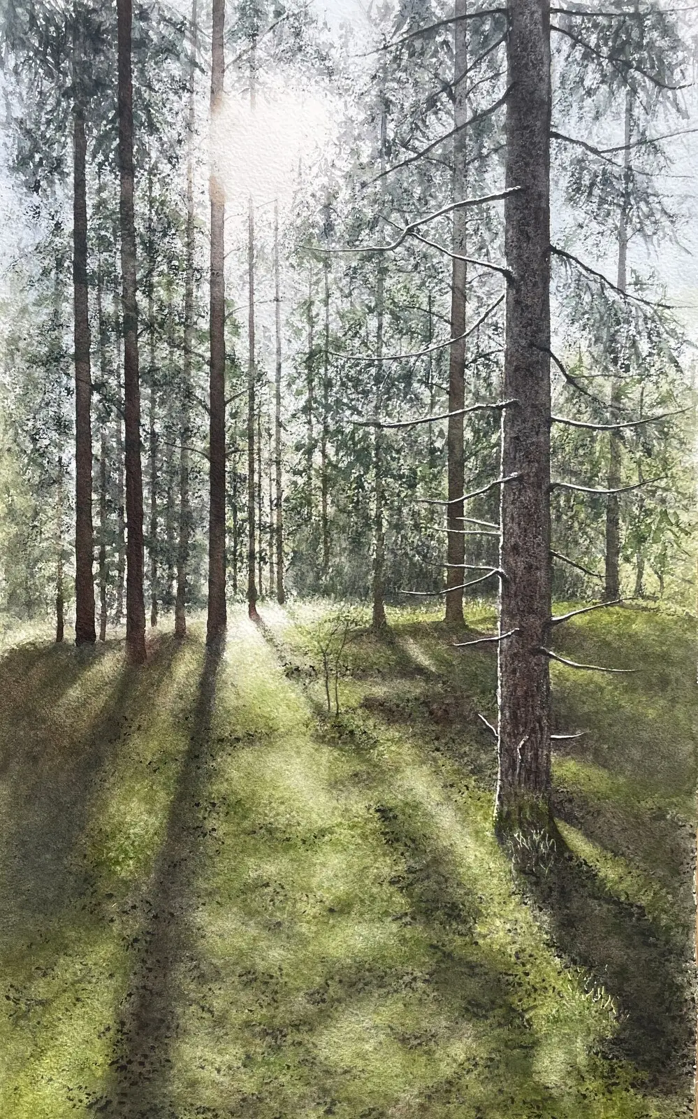 Akvarell Upplyst av Jeanette Malmberg