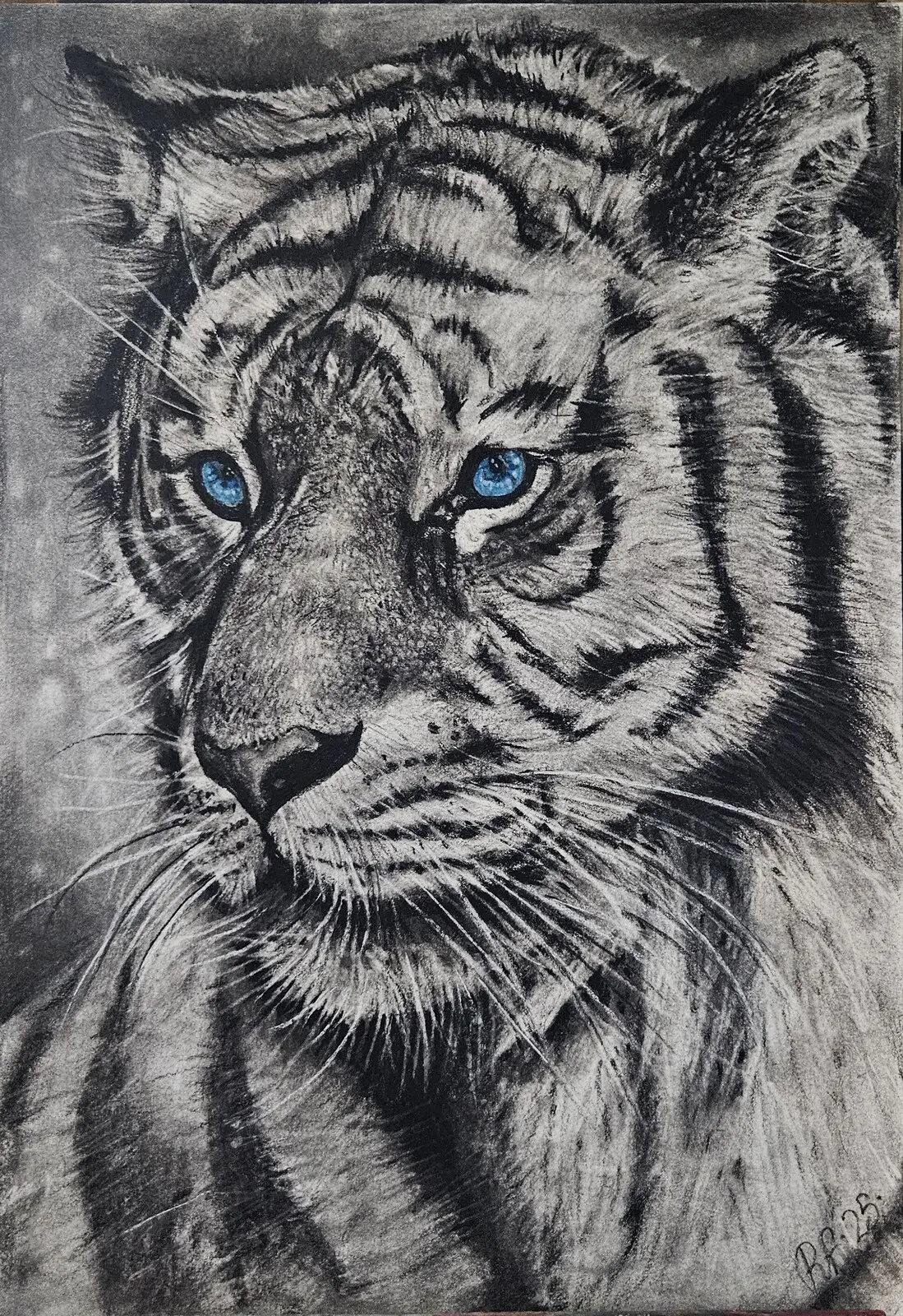 Tiger av Rickard Forsberg