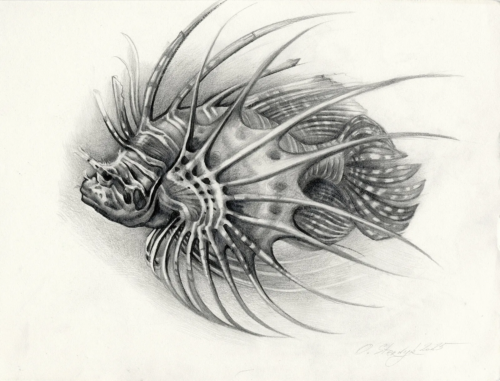 Fisken av Olga Sternyk