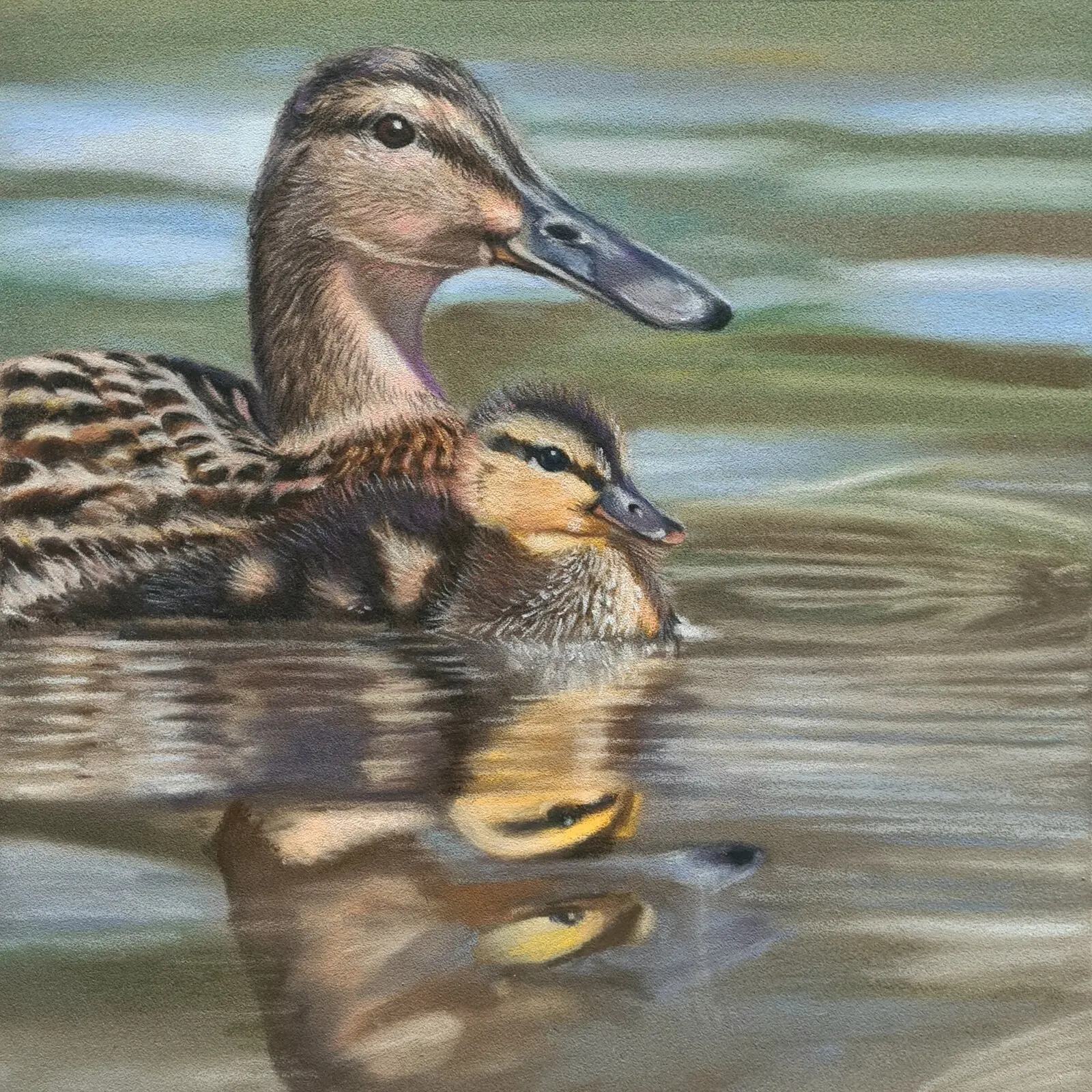 Gräsänder av Kajsa Sjöner