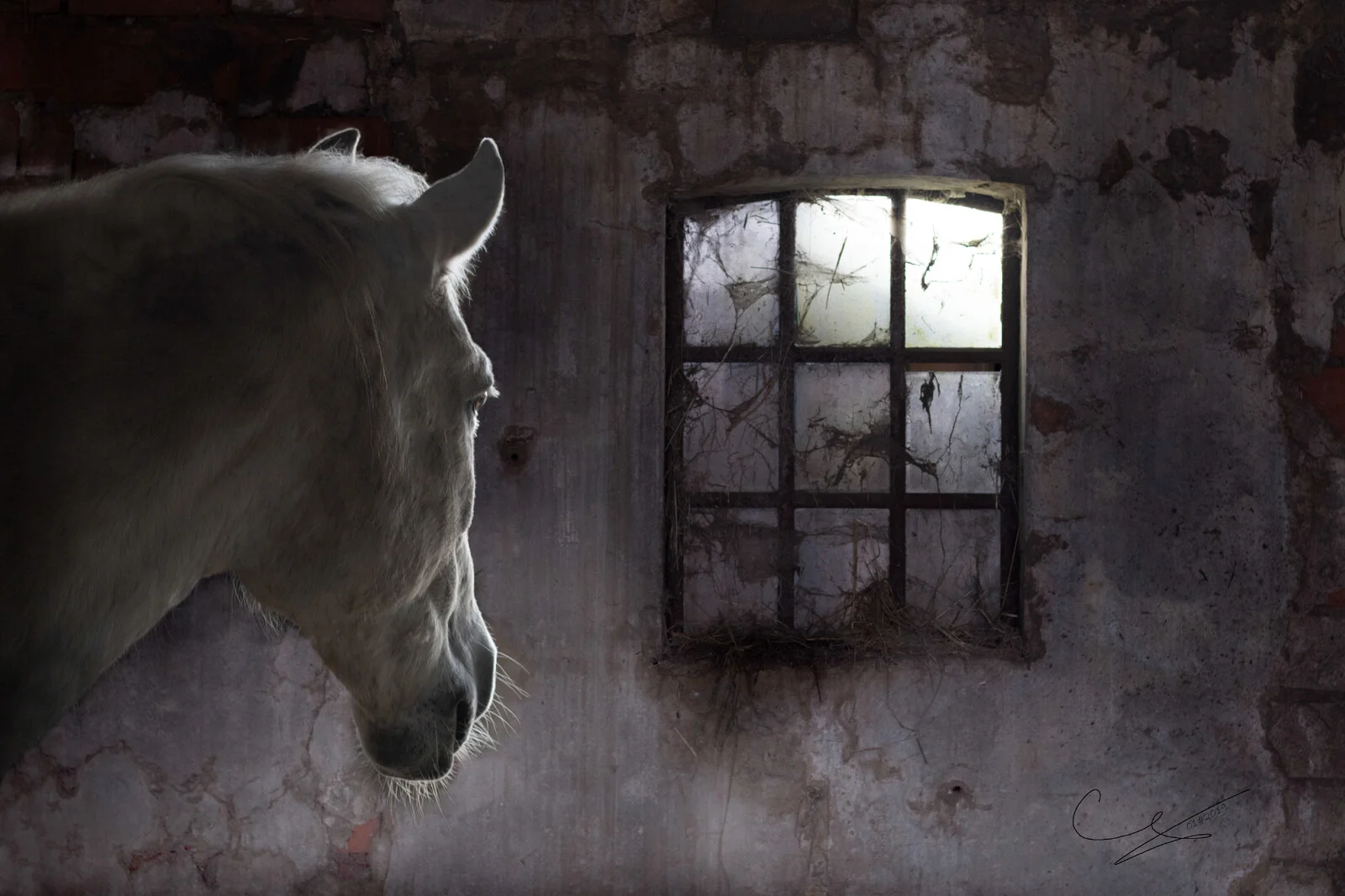 Rechazo av Grietje Van Der Heide