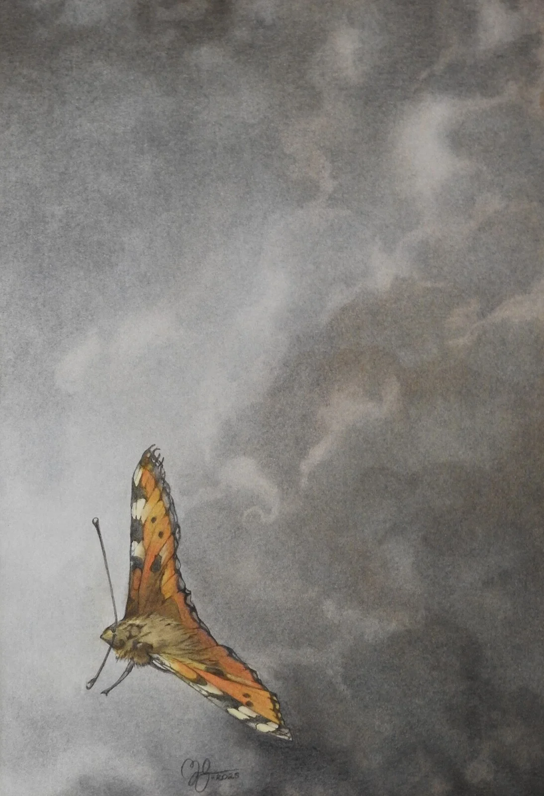 Vilse av Moa Naalisvaara Engman