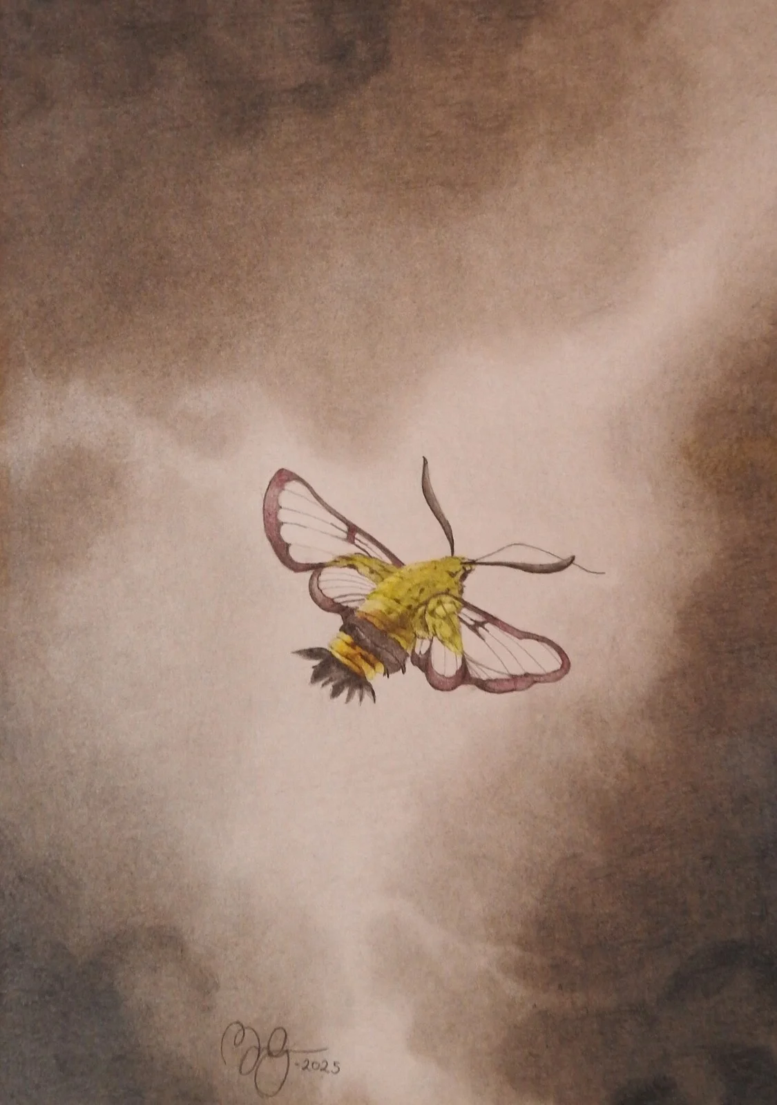 Fé av Moa Naalisvaara Engman