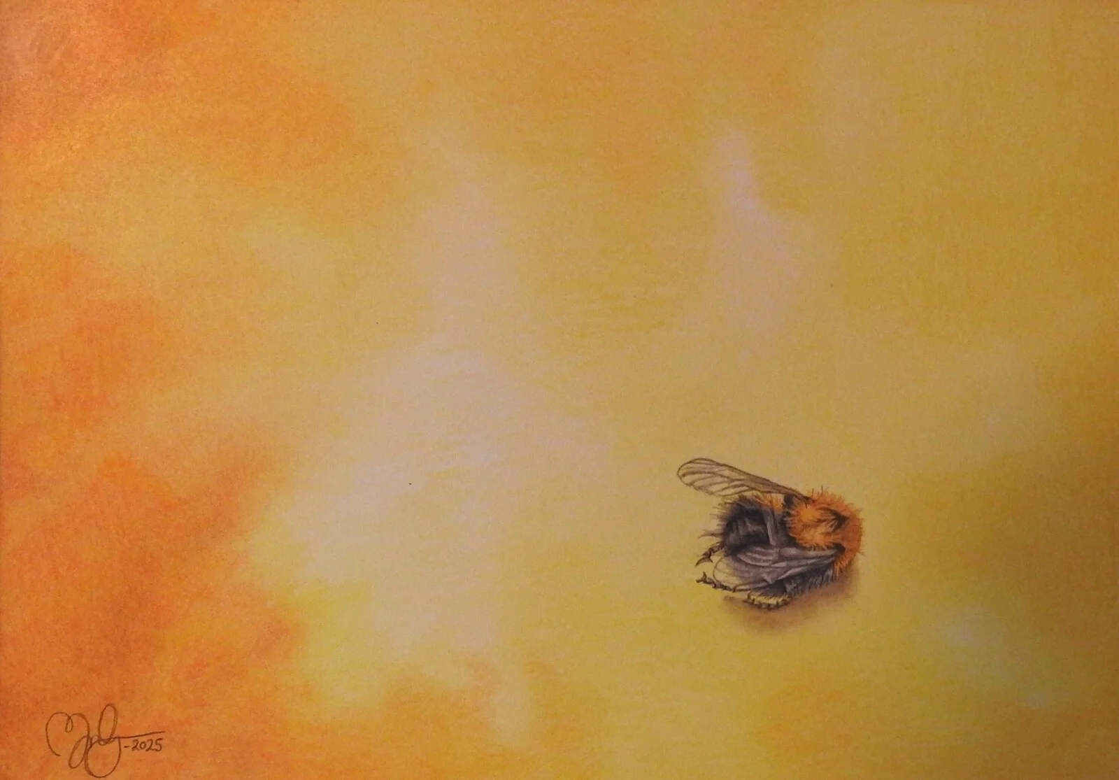 Skruttig av Moa Naalisvaara Engman