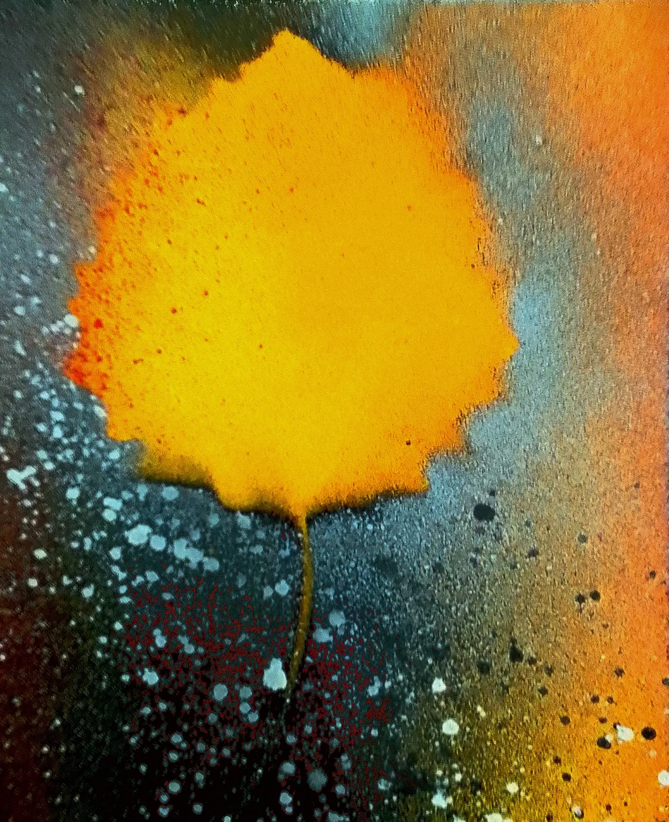 Mimosa lövet av Robert Landström