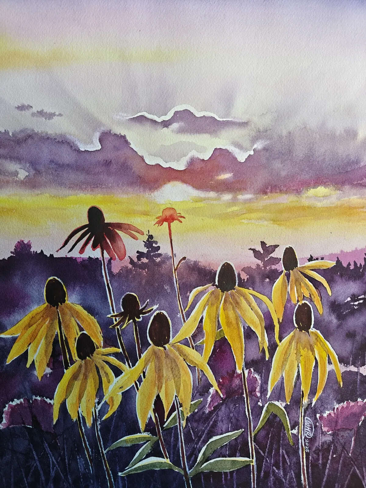 Akvarell Black Eyed Susan in sunset av Wei Hing Rosenkvist