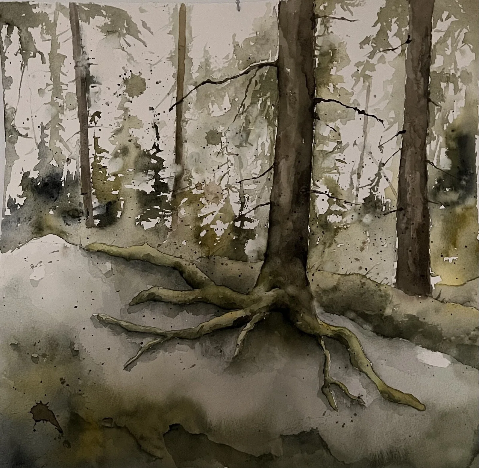 Akvarell av Mia Uhlander