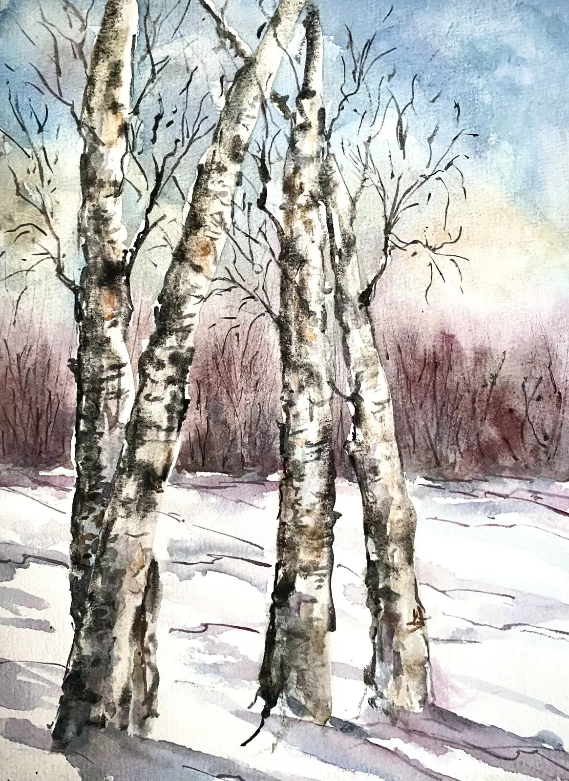 Akvarell Björkar akvarell av Anita Lundgren
