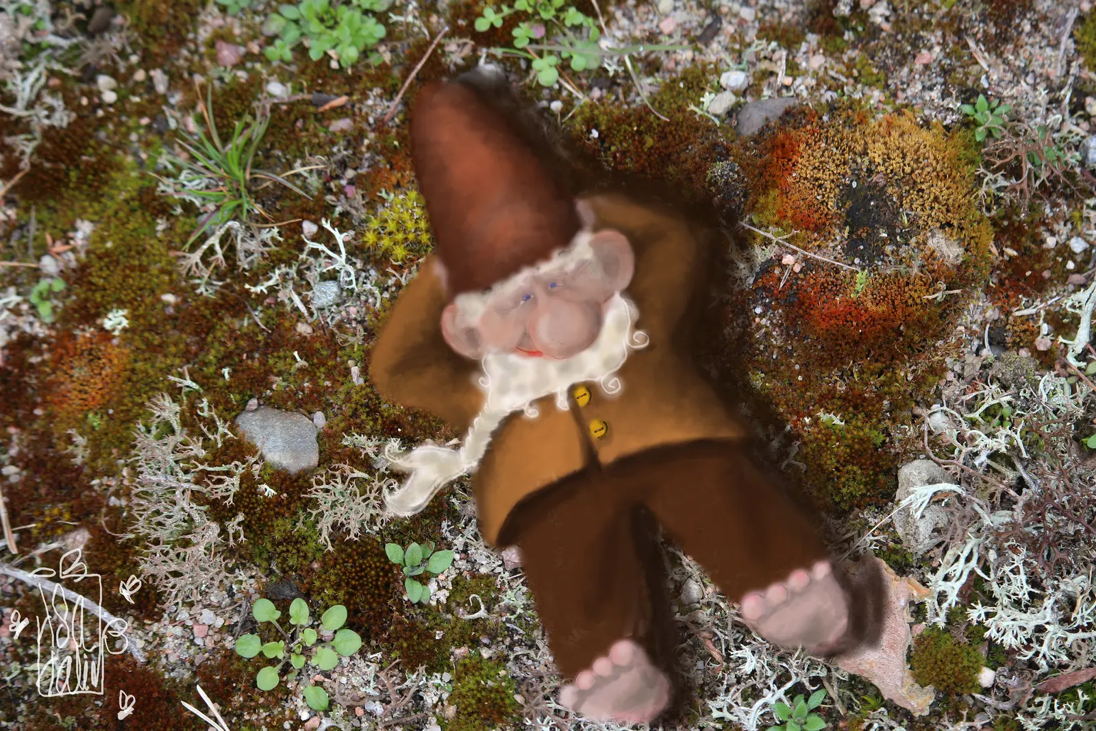 Tomten på Örarevet av Åsa Halin
