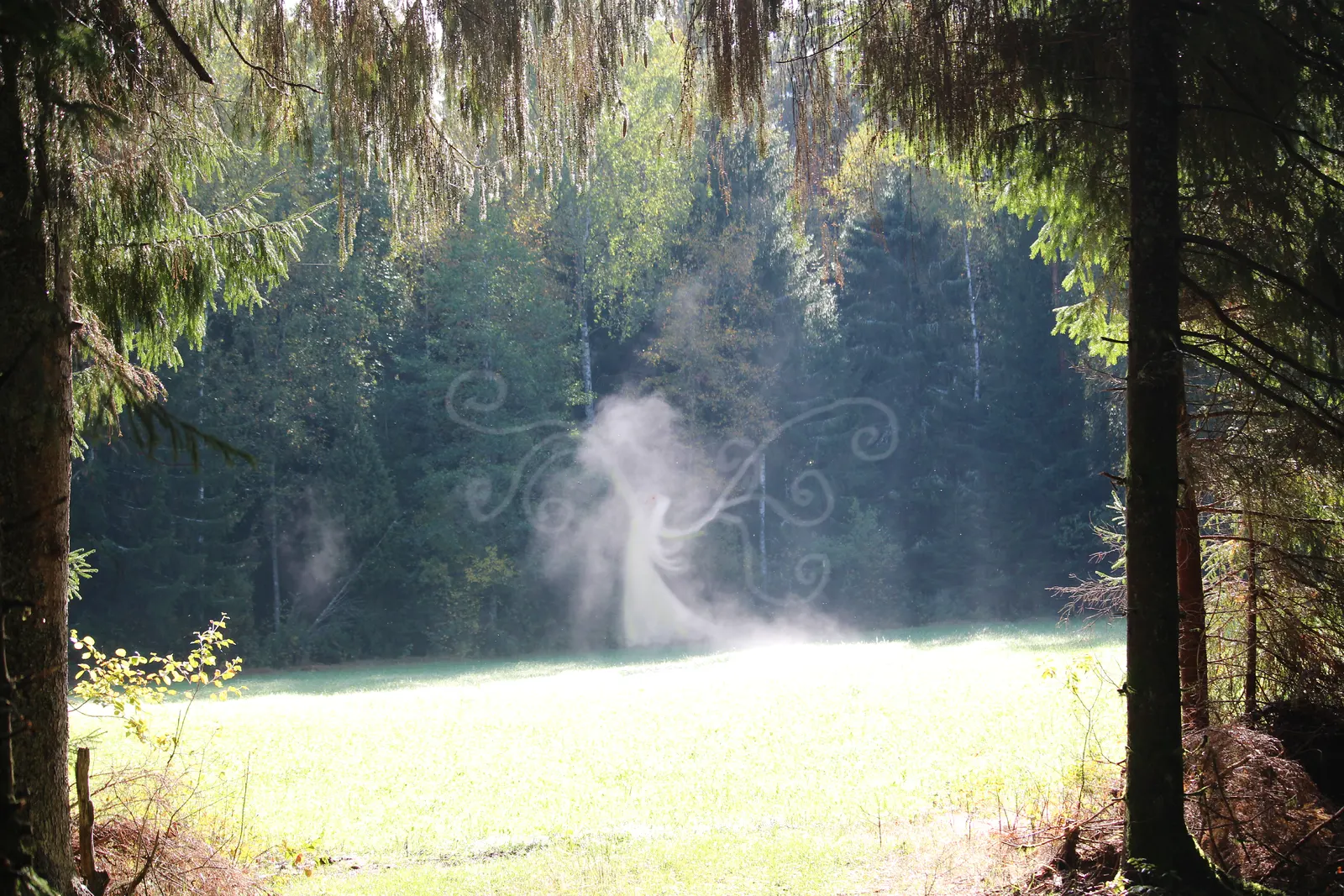 Älvdans i Parismåla av Åsa Halin