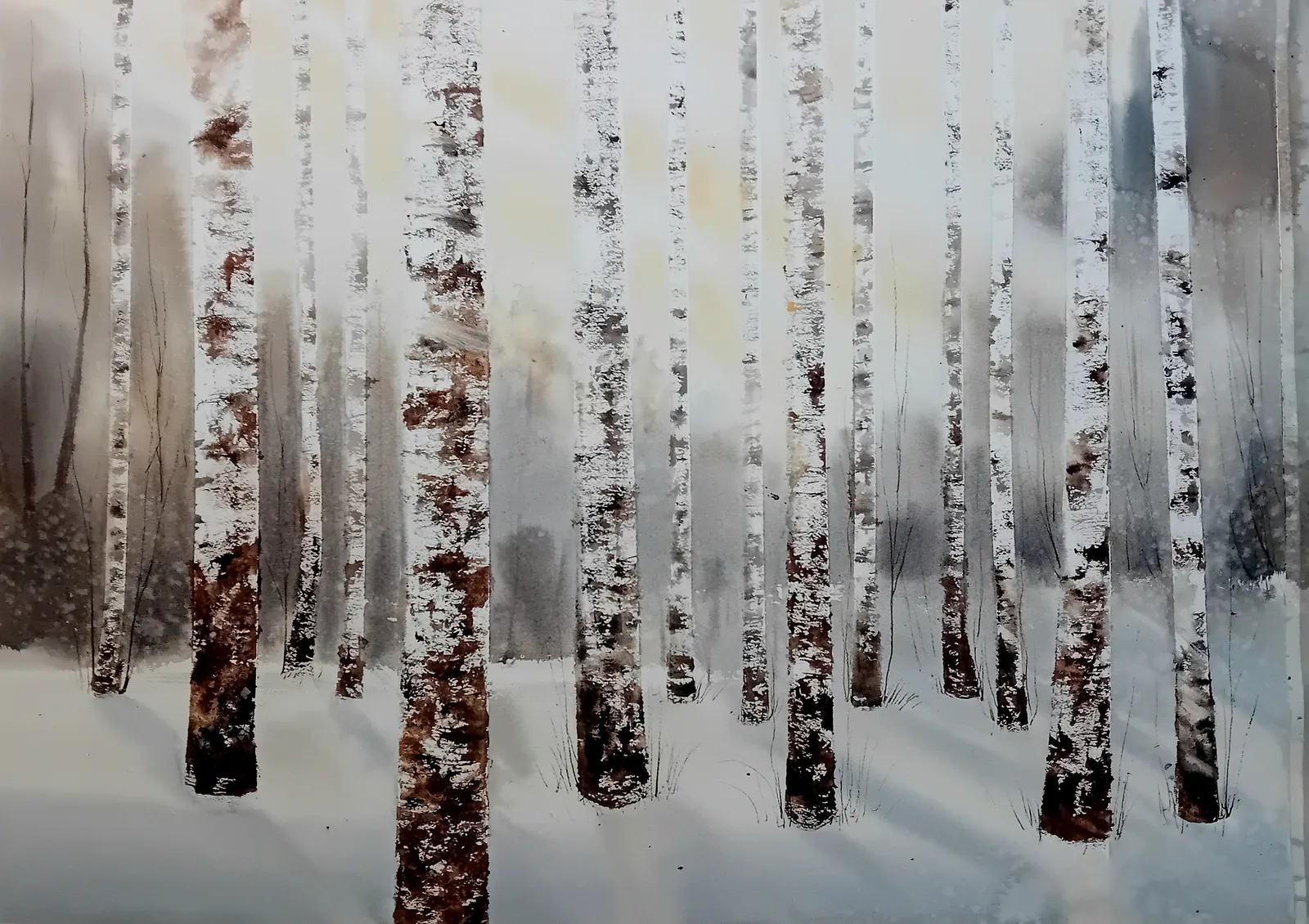 Akvarell Björkskog av Lotta Andersson