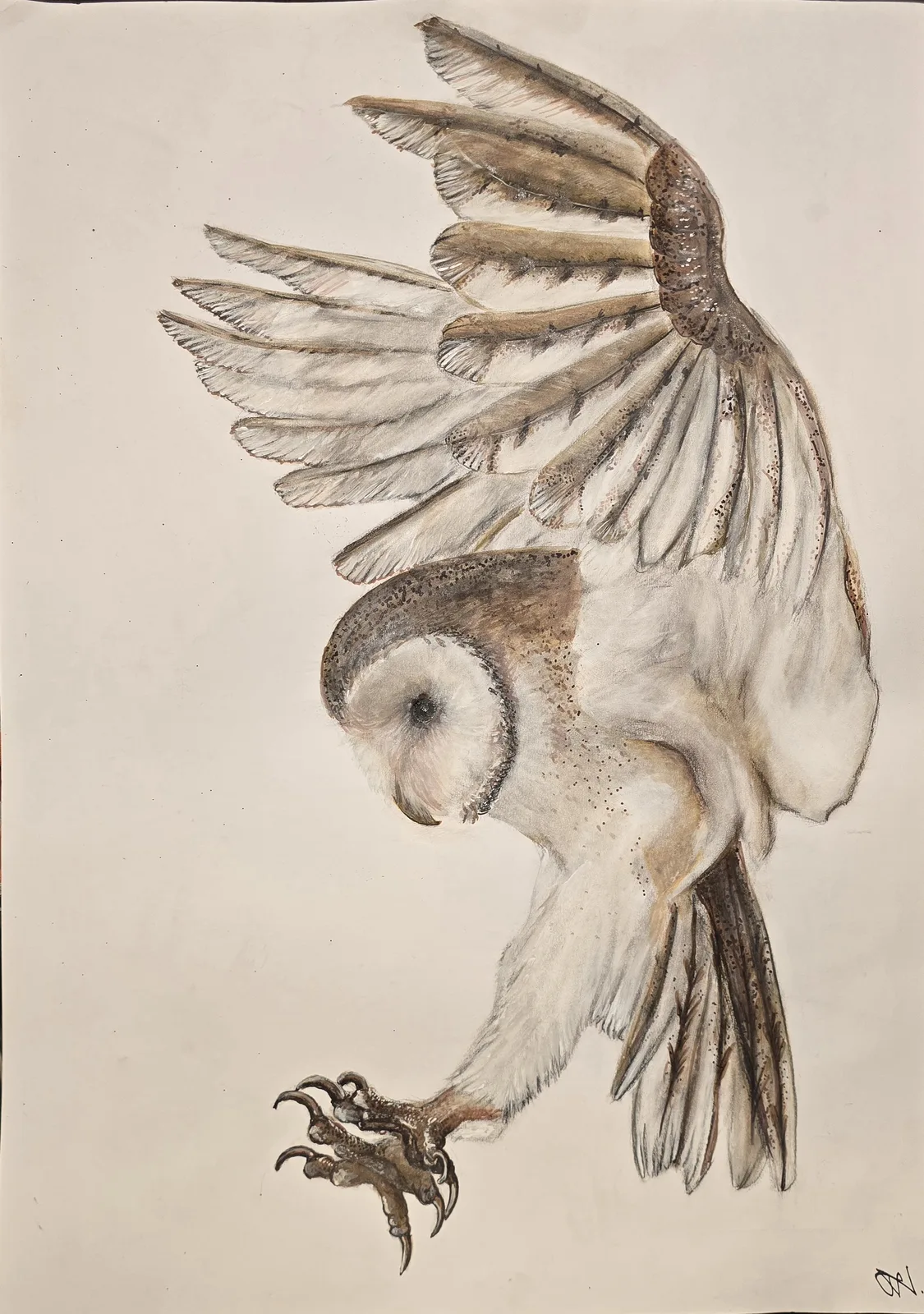 Silent Hunter av Marianne Nushi