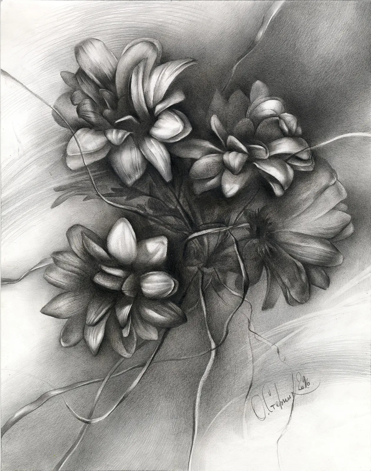 Aster av Olga Sternyk