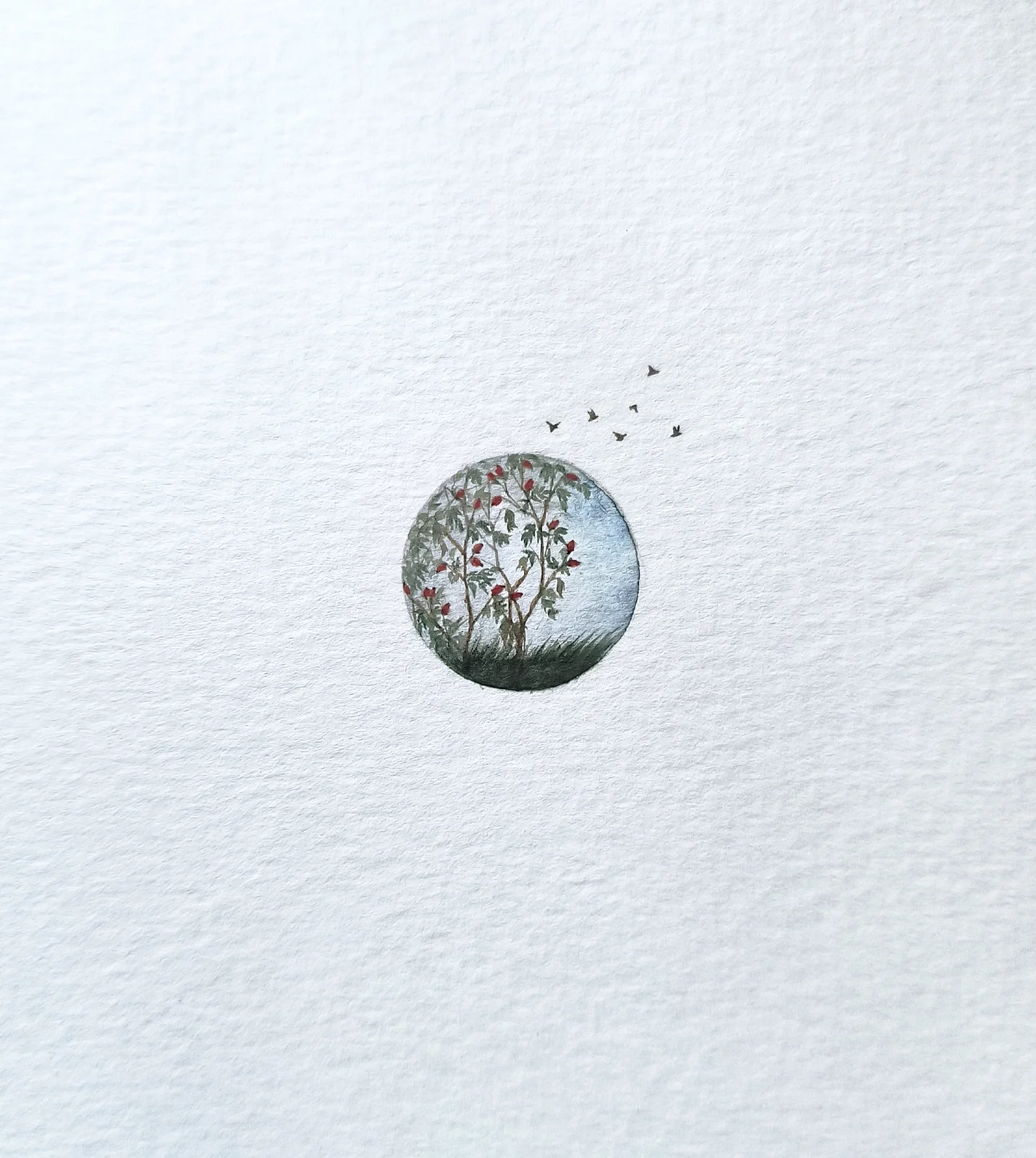 Akvarell Rosehip autumn av Anna Åström