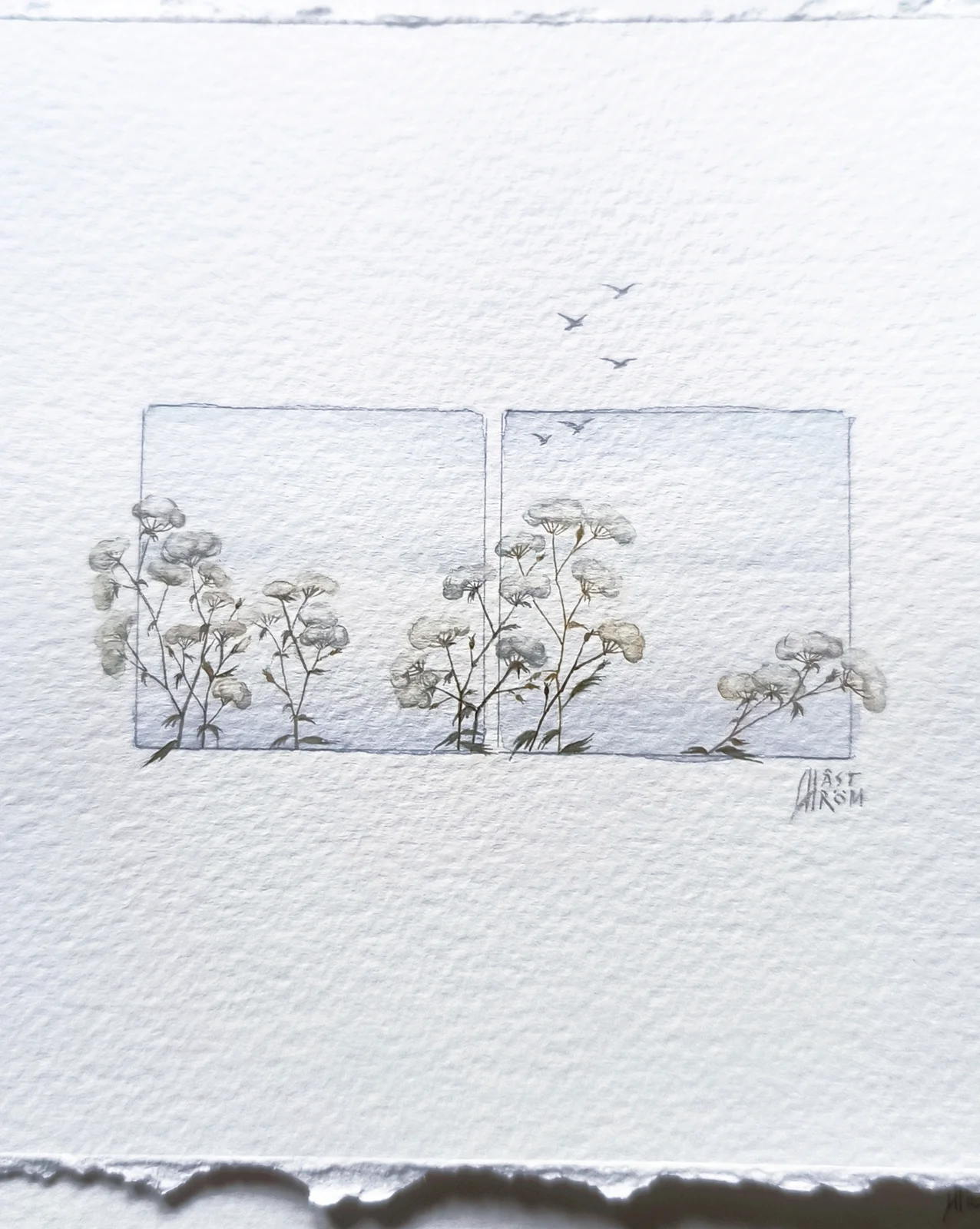 Akvarell Snowflowers av Anna Åström