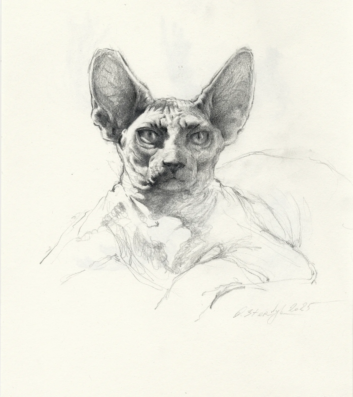 Sphynx-2 av Olga Sternyk