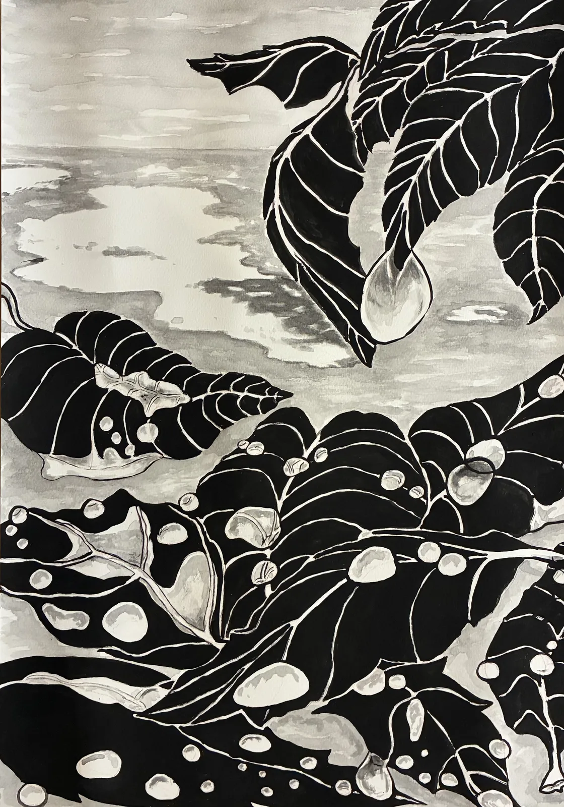 Efter regn av Gabrielle van der Wal