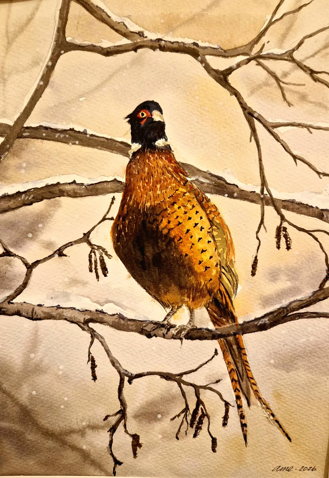 Akvarell av Anna-Maria Esback