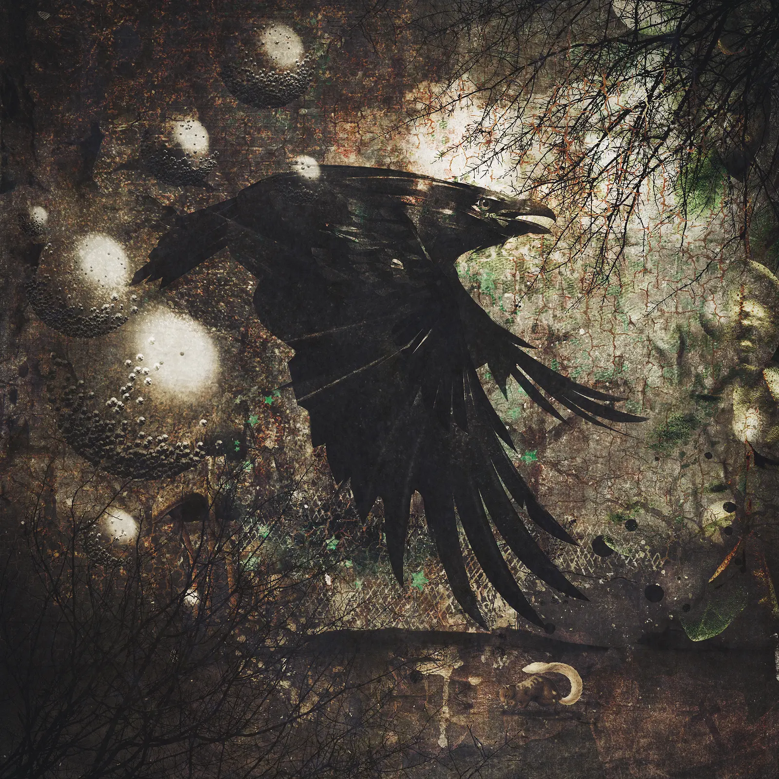 Raven 1 av Kristin Couch