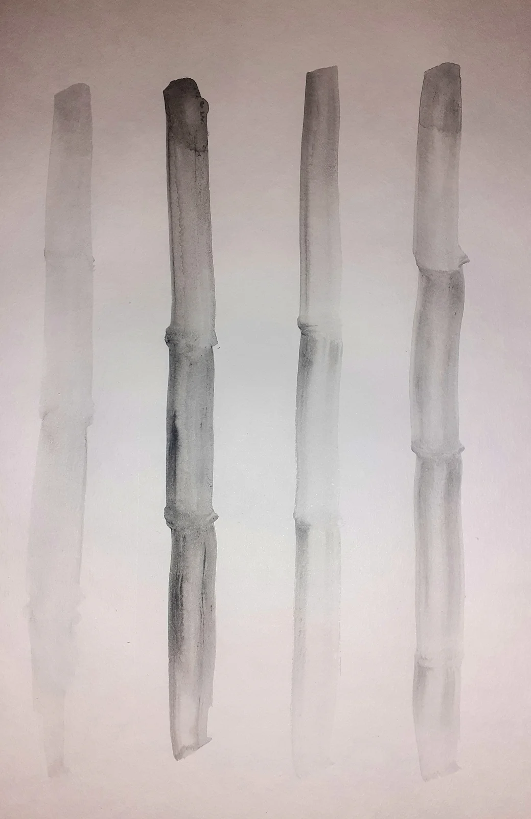 Akvarell Bambu av Annelie Winebäck