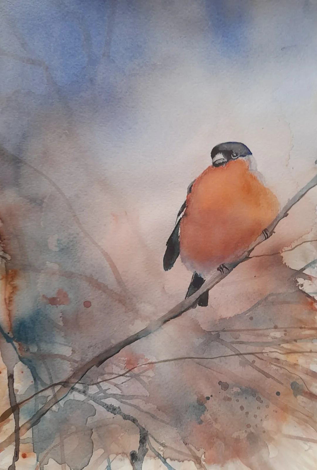 Akvarell Domherren bland buskar o slån av Petra Skogsberg