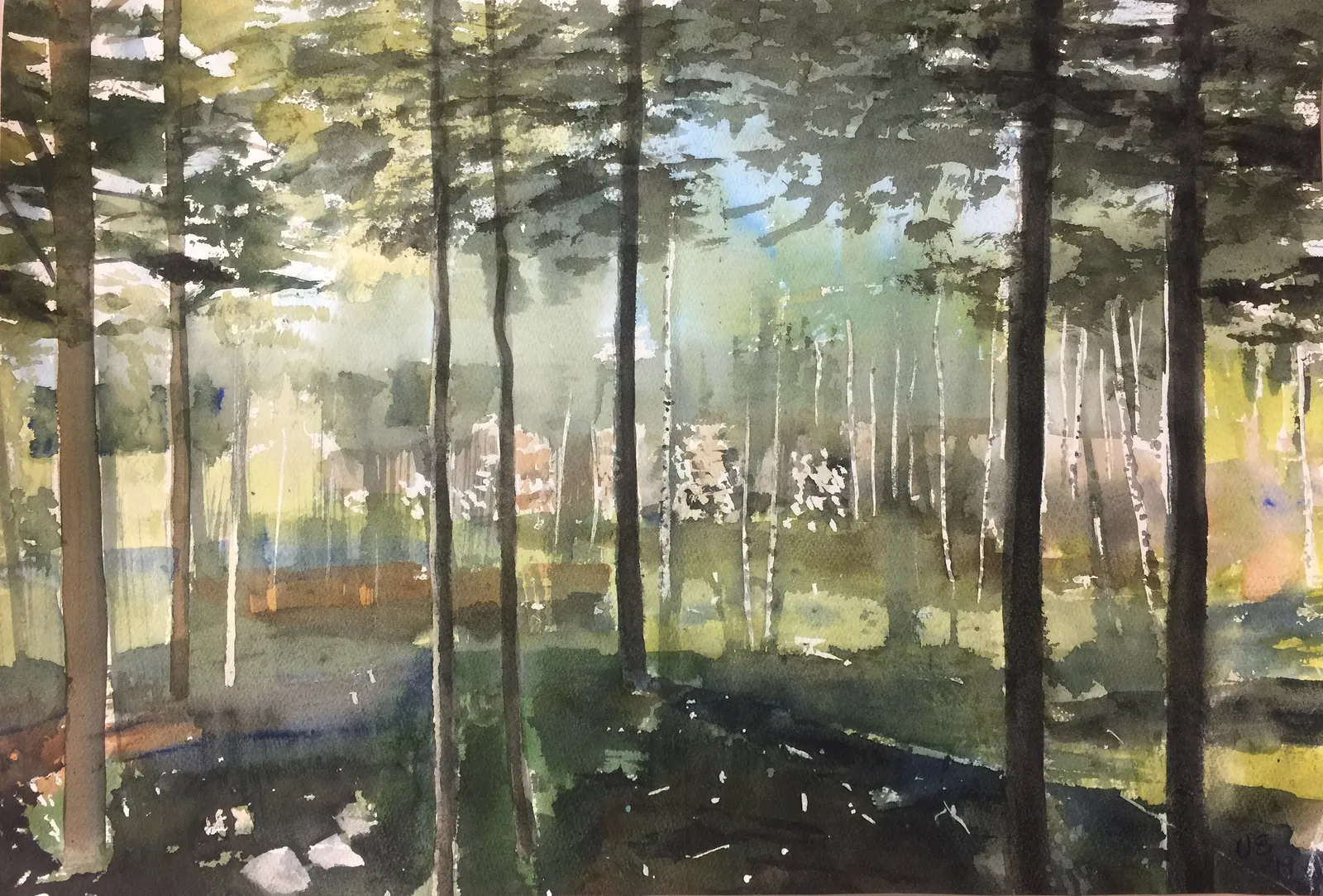 Akvarell Skogslandskap av Ulf Eriksson