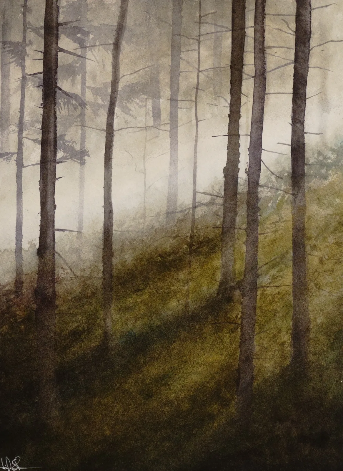 Akvarell Skogsljus av Leif Stavgren