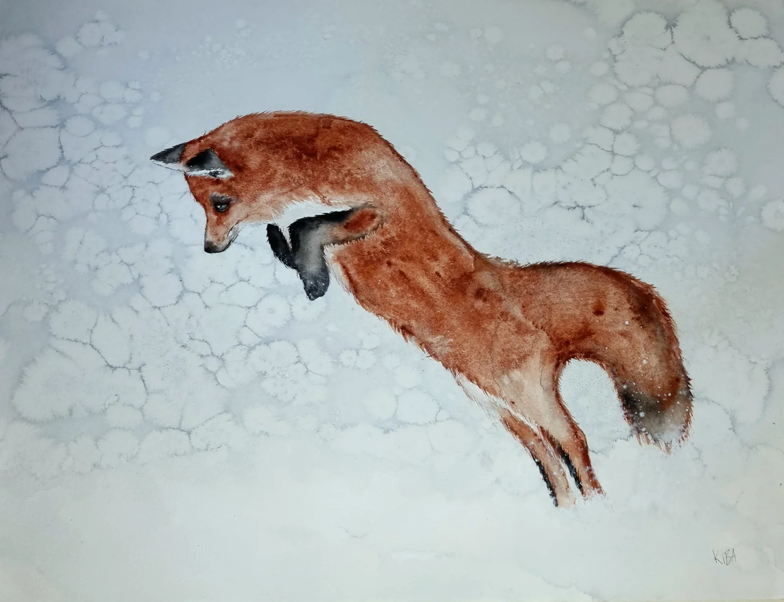 Akvarell Snöräv av Kiba Gustafsson