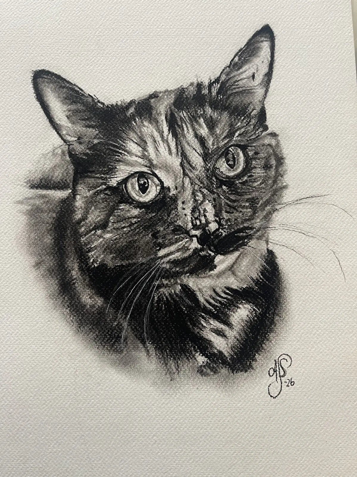 Fläckis - katt av Ann-Sofie Stjernkvist