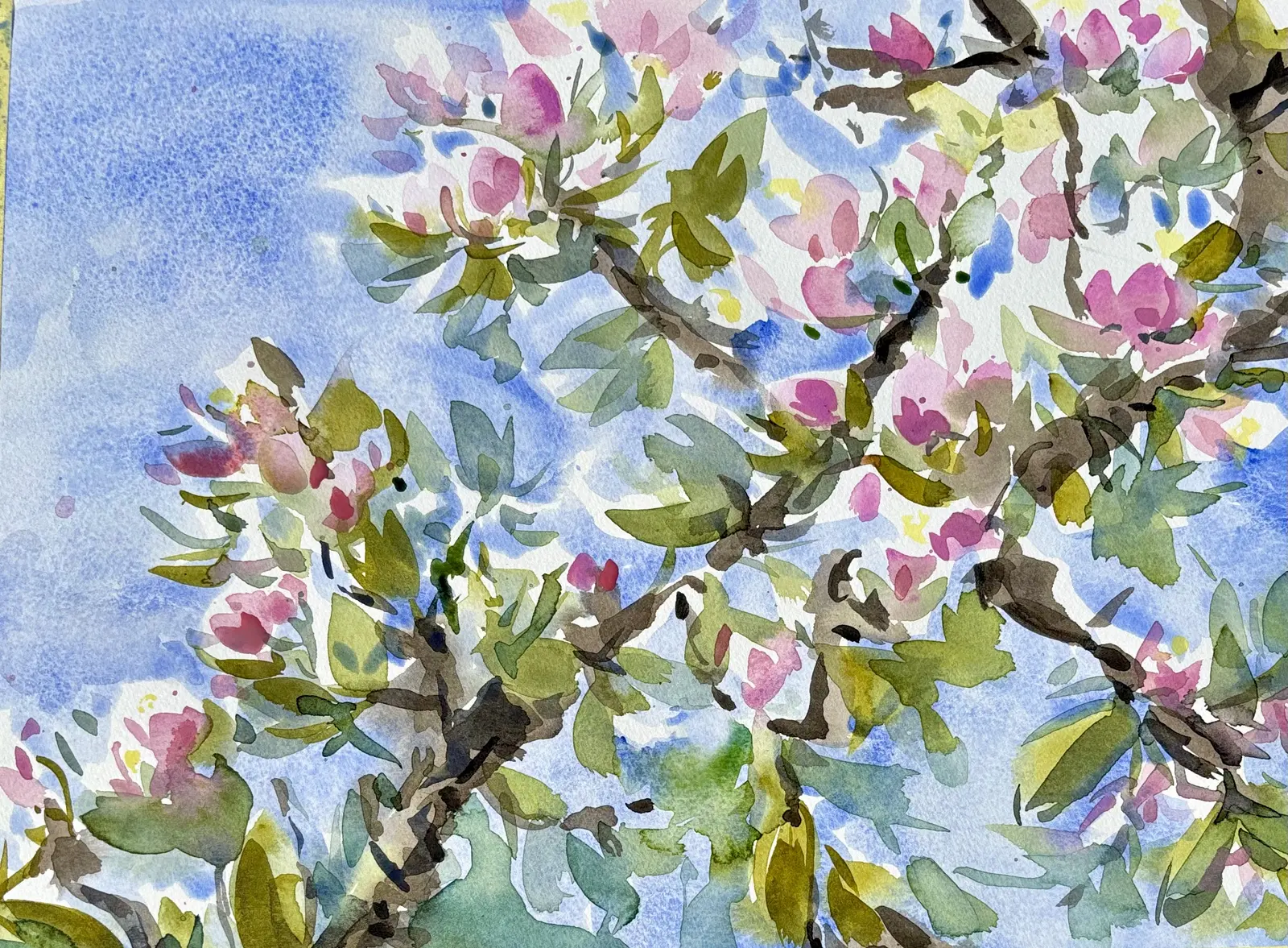 Akvarell När äppelträden blommar av Iréne Viberg