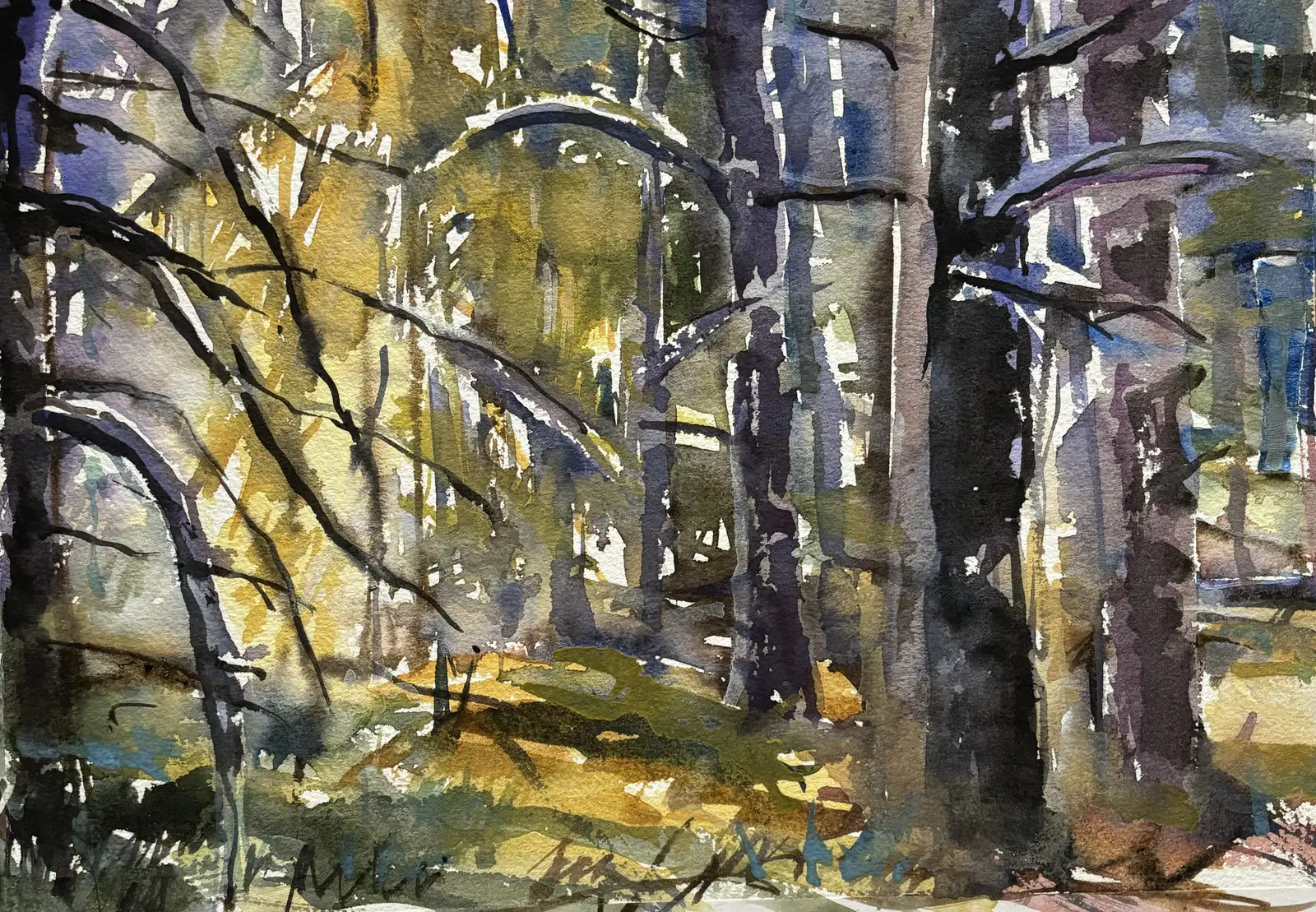 Akvarell På vandring i Högasand av Iréne Viberg