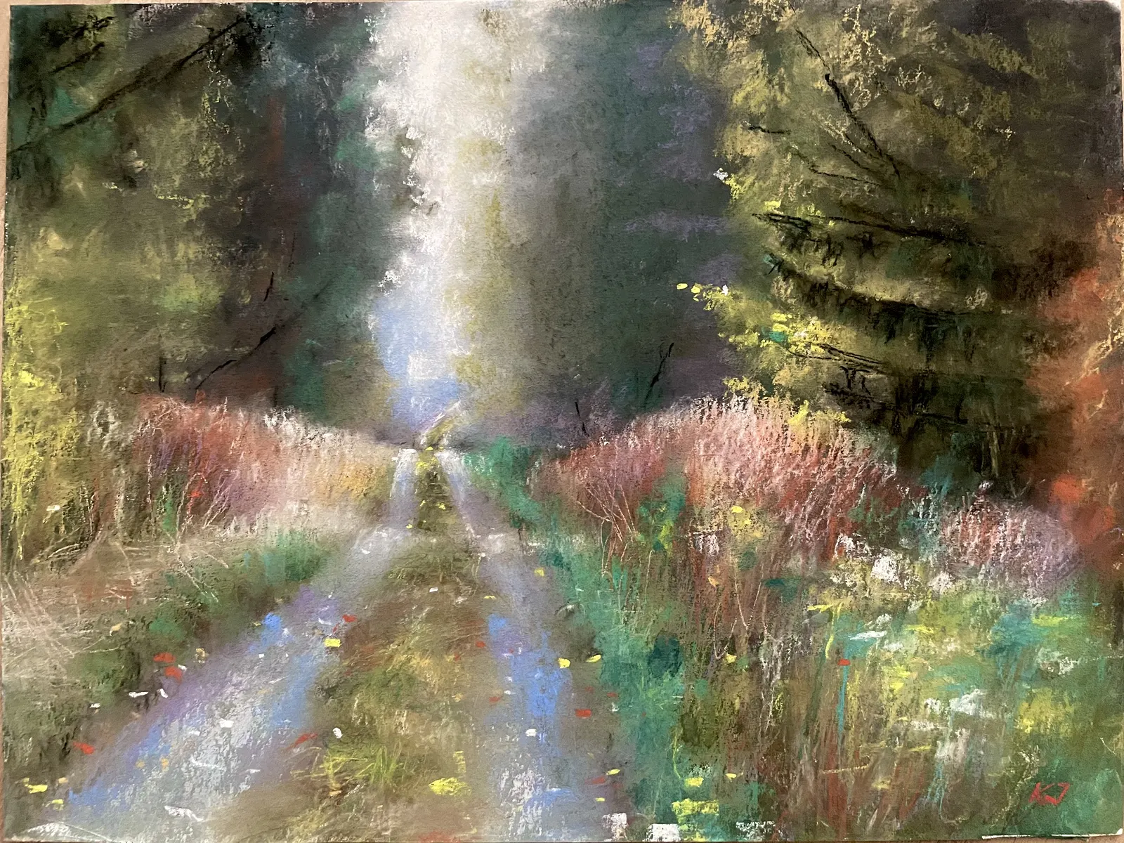 En tyst vandring av Kaidi Jäderholm