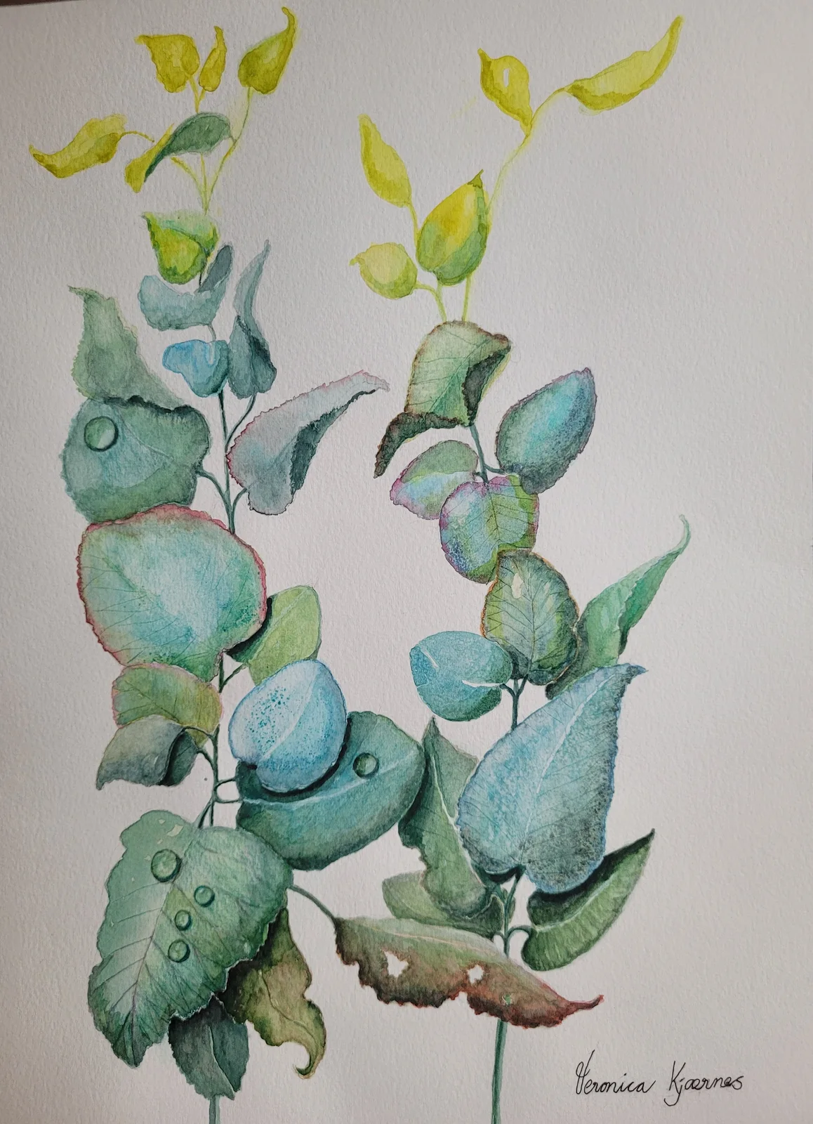 Akvarell Gemensamma naturminnen av Veronica Kjaernes