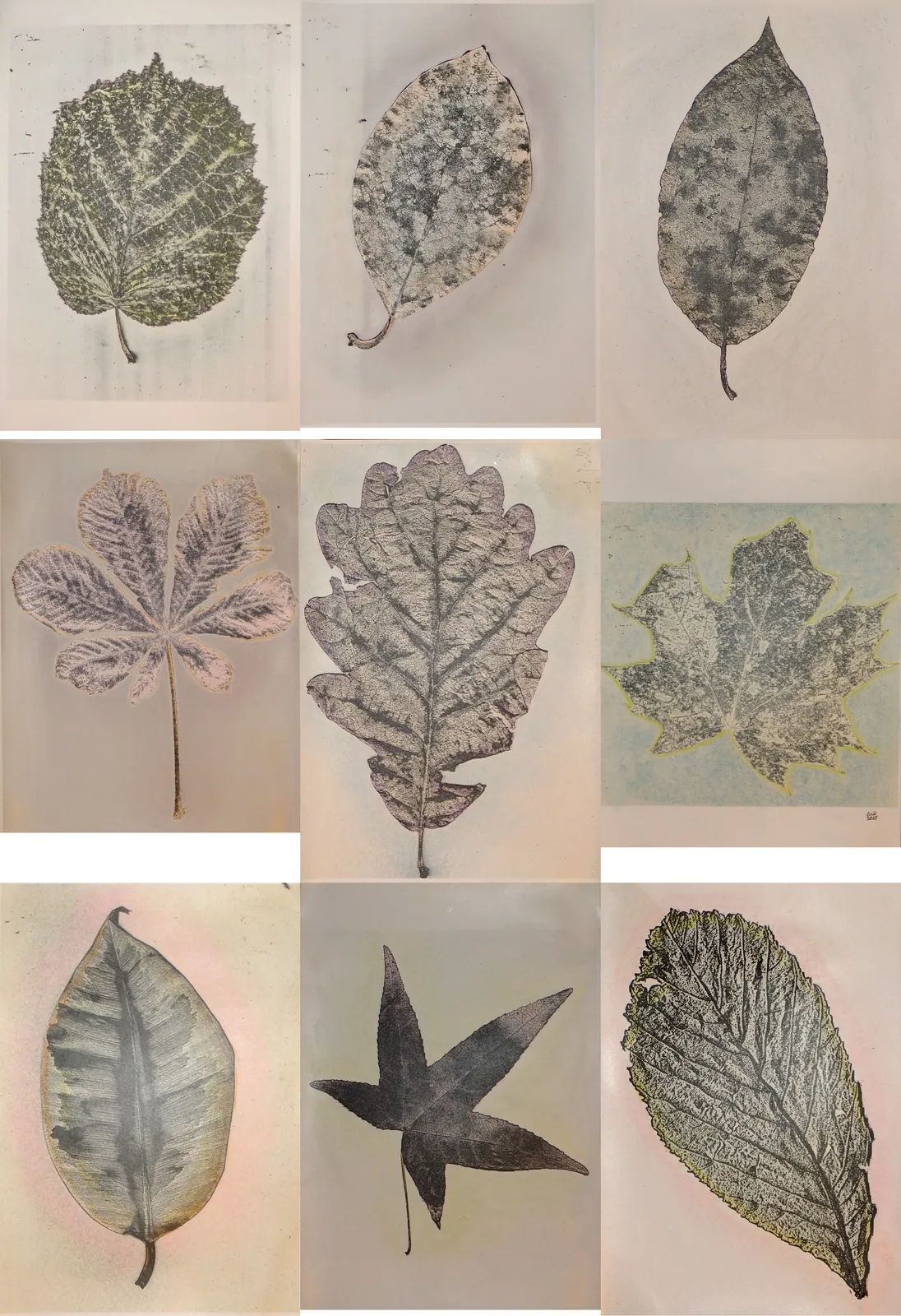 Art Naturel 2025 / 3 (1-9) av Alo