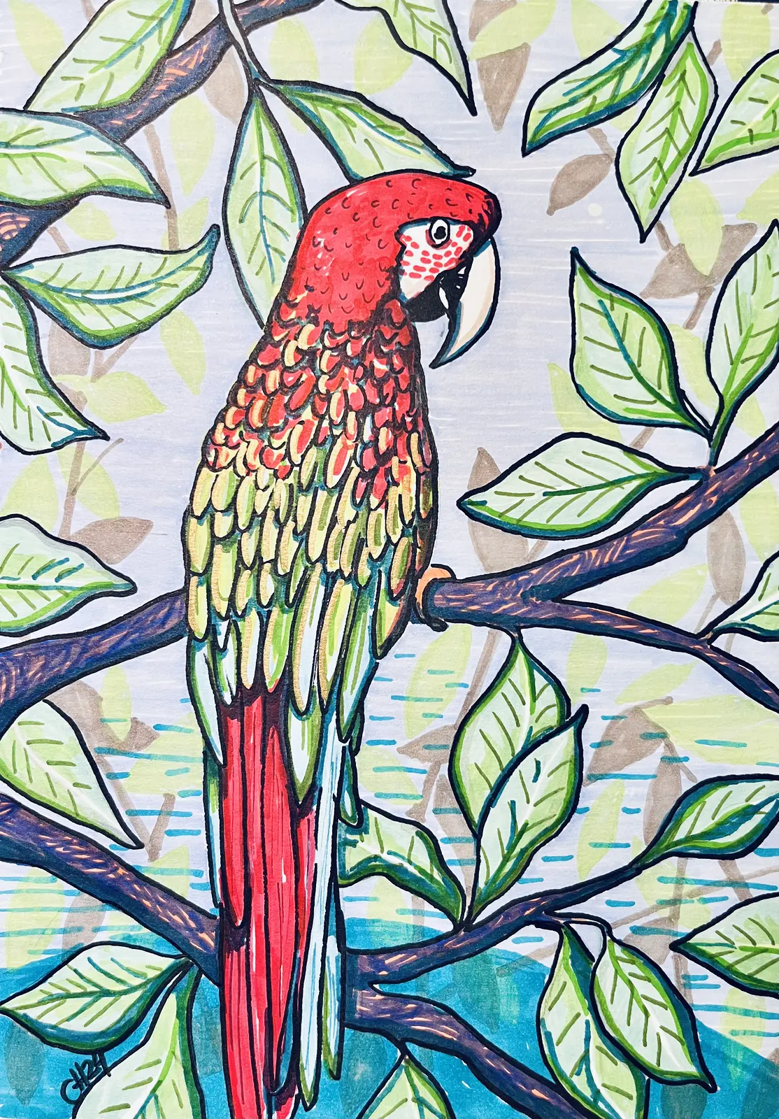 Ara av Charlotte Hansson