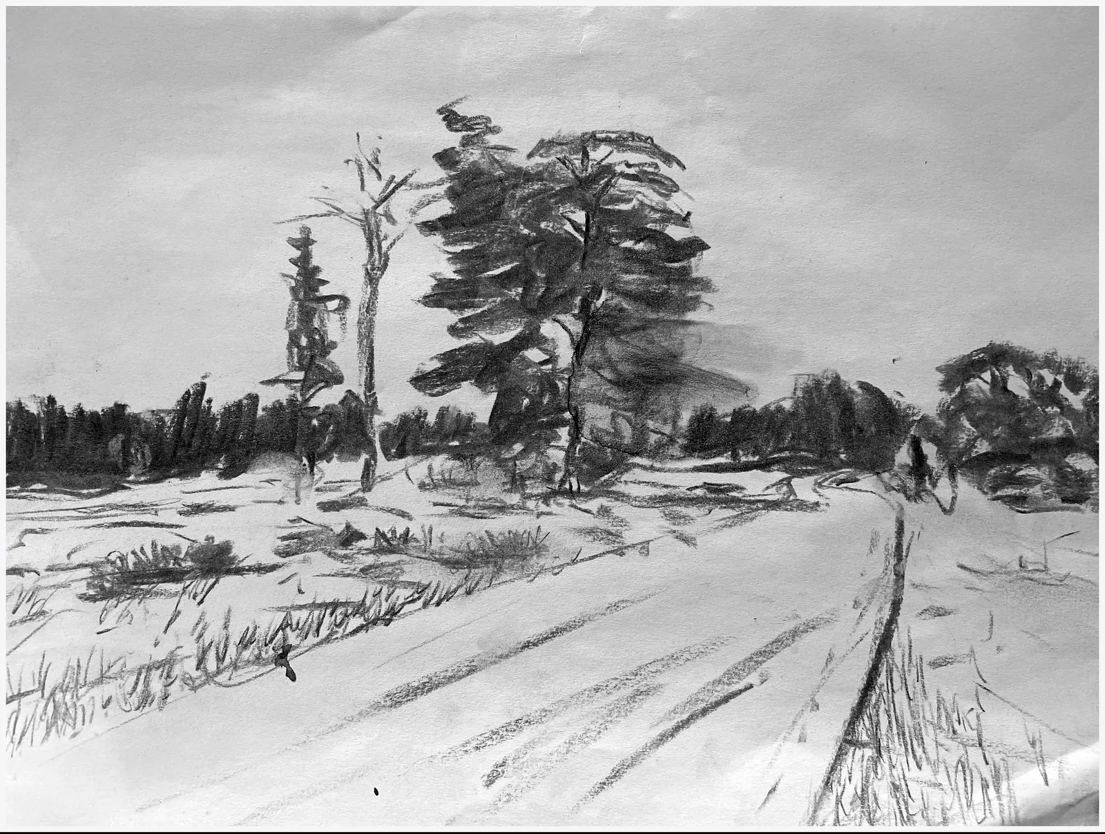 Vägen till Lansa av Göran Ekström