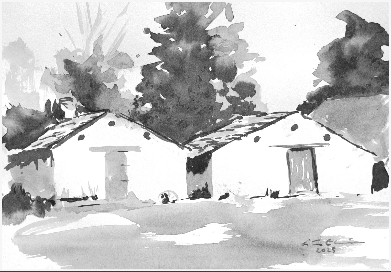 Strandbodar av Göran Ekström