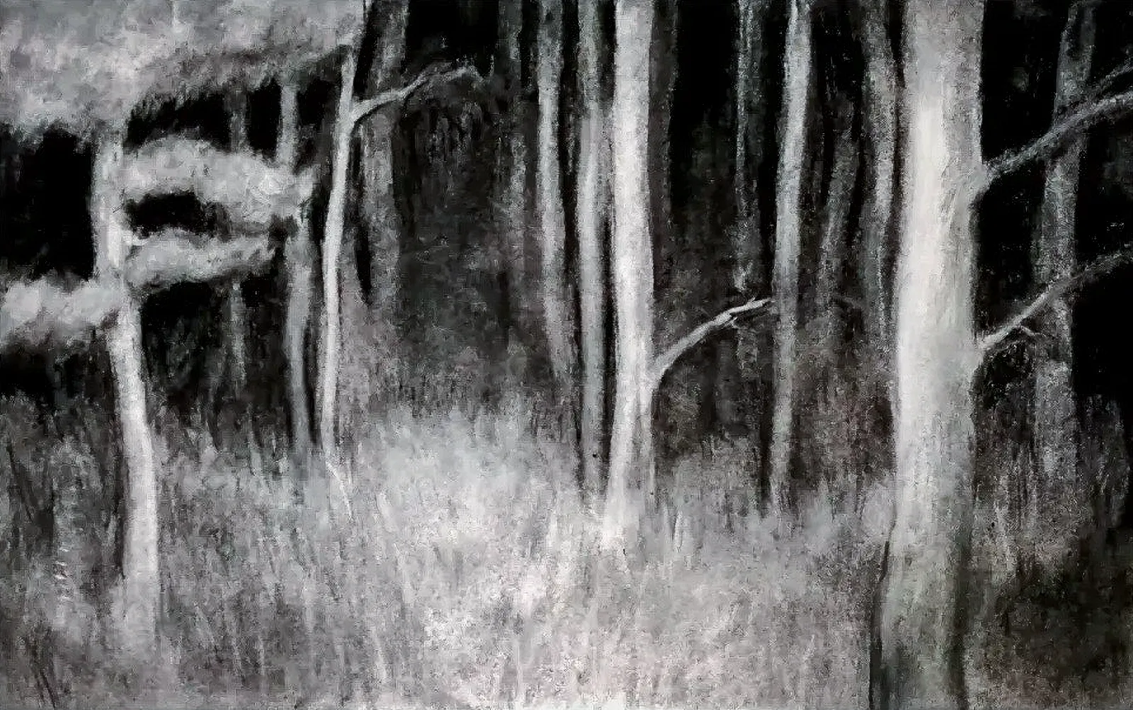 Nattetid av Aakifa Qureshi